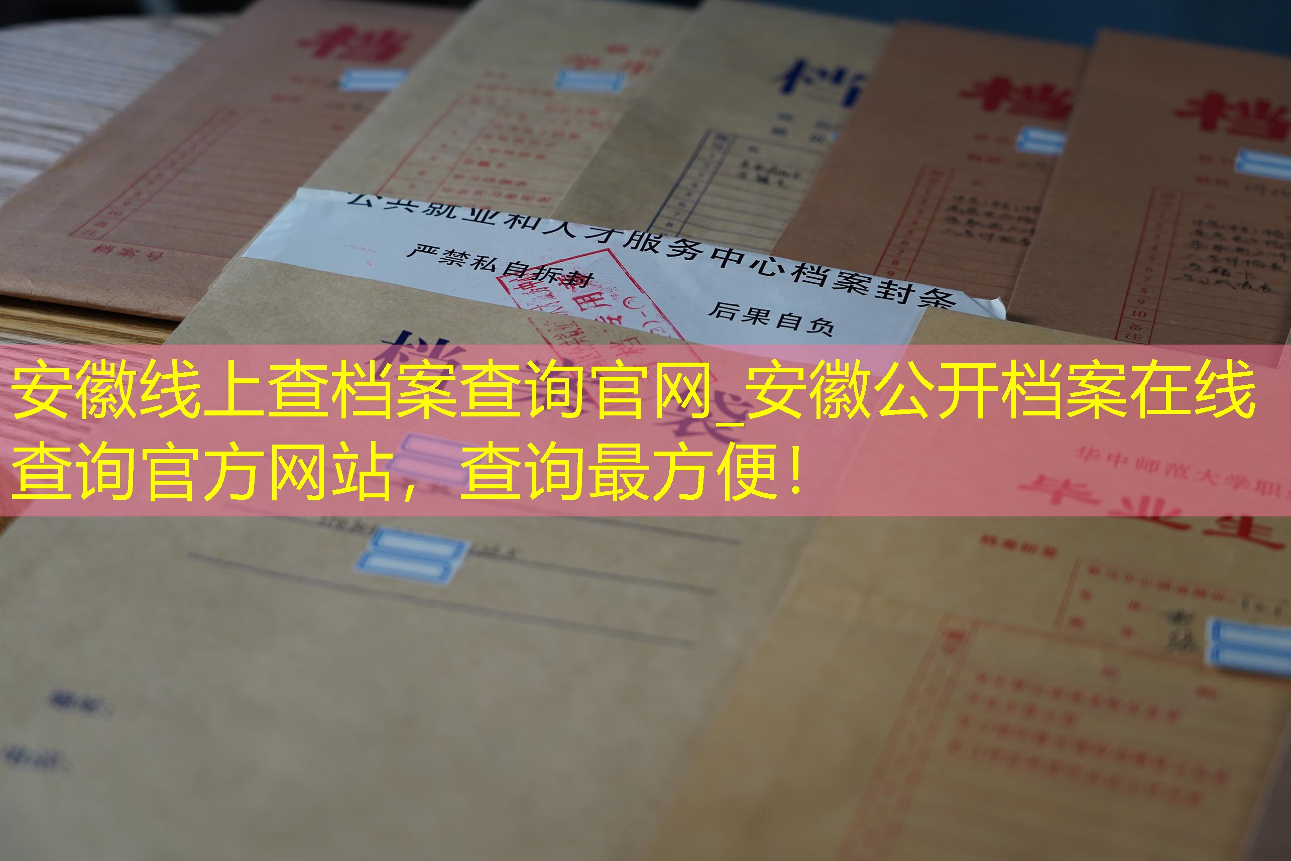 档案查询