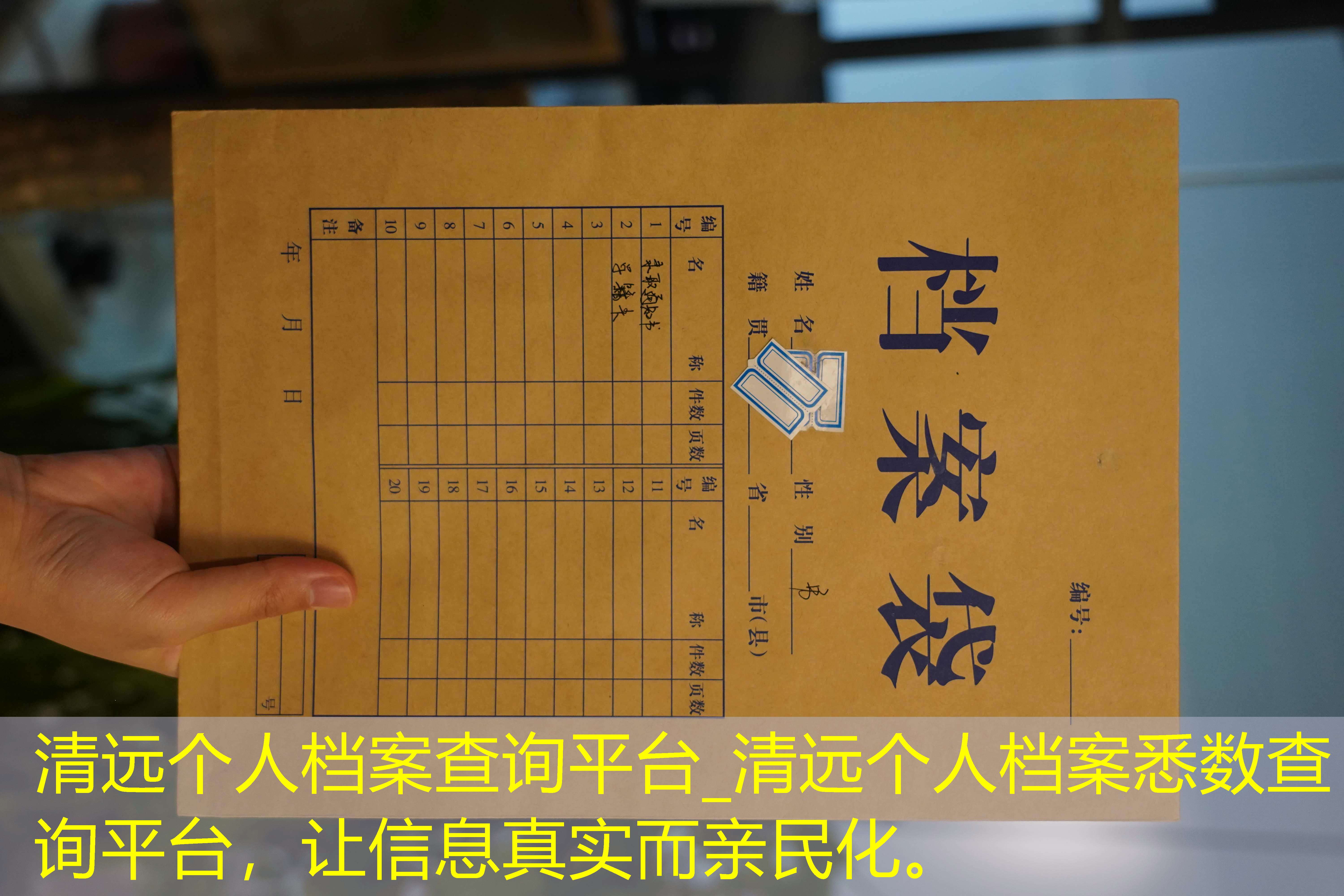 档案查询