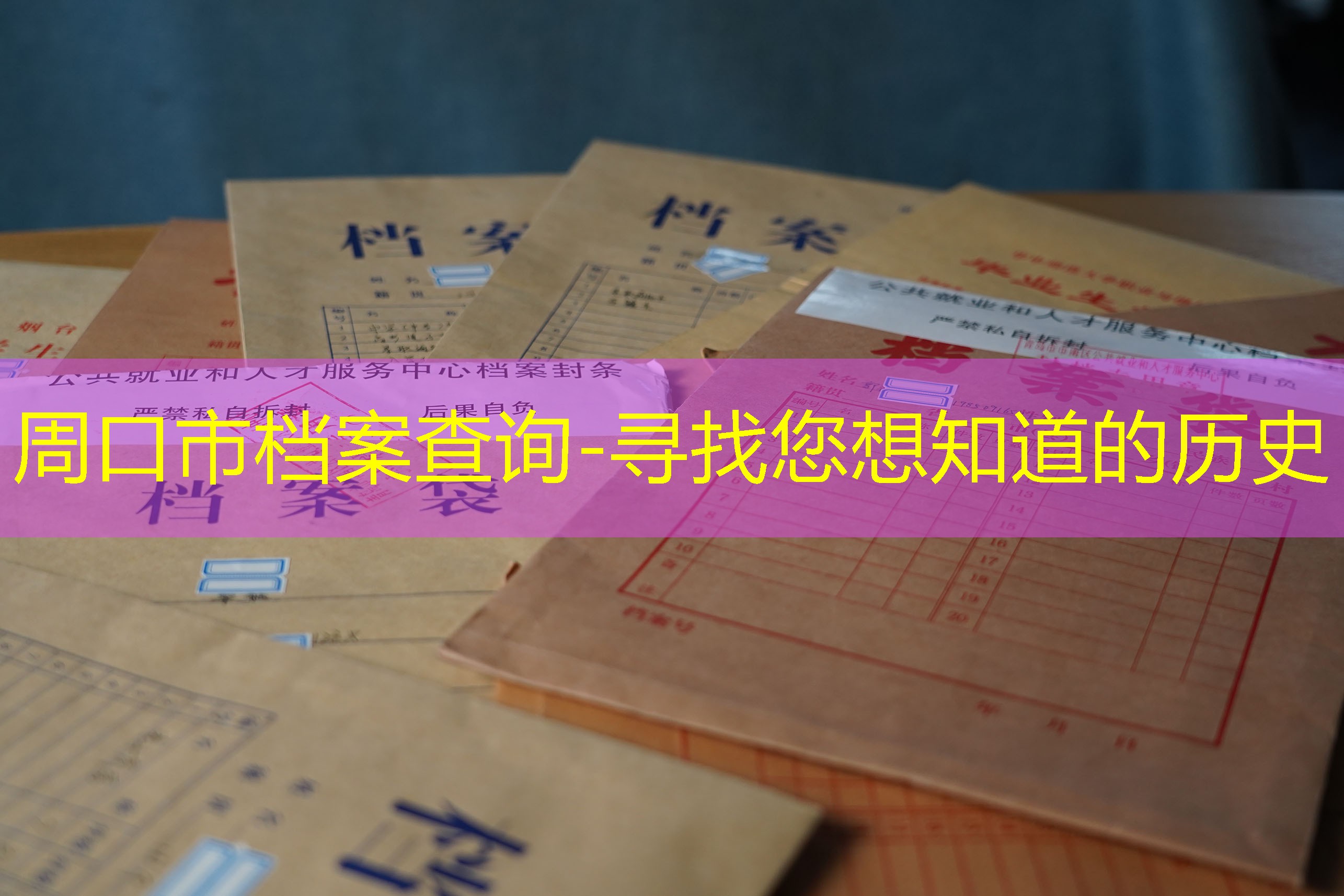 档案查询