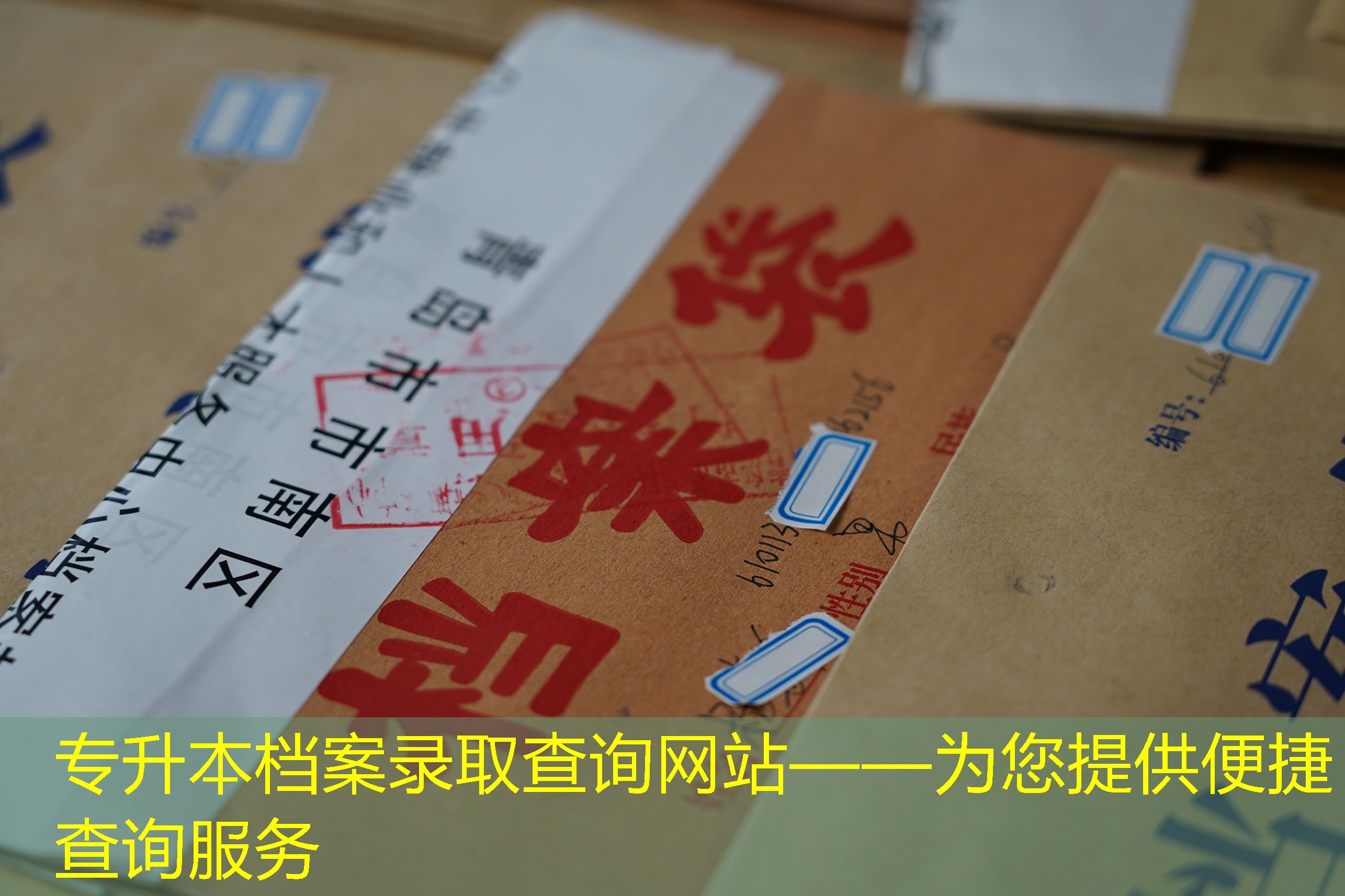 档案查询