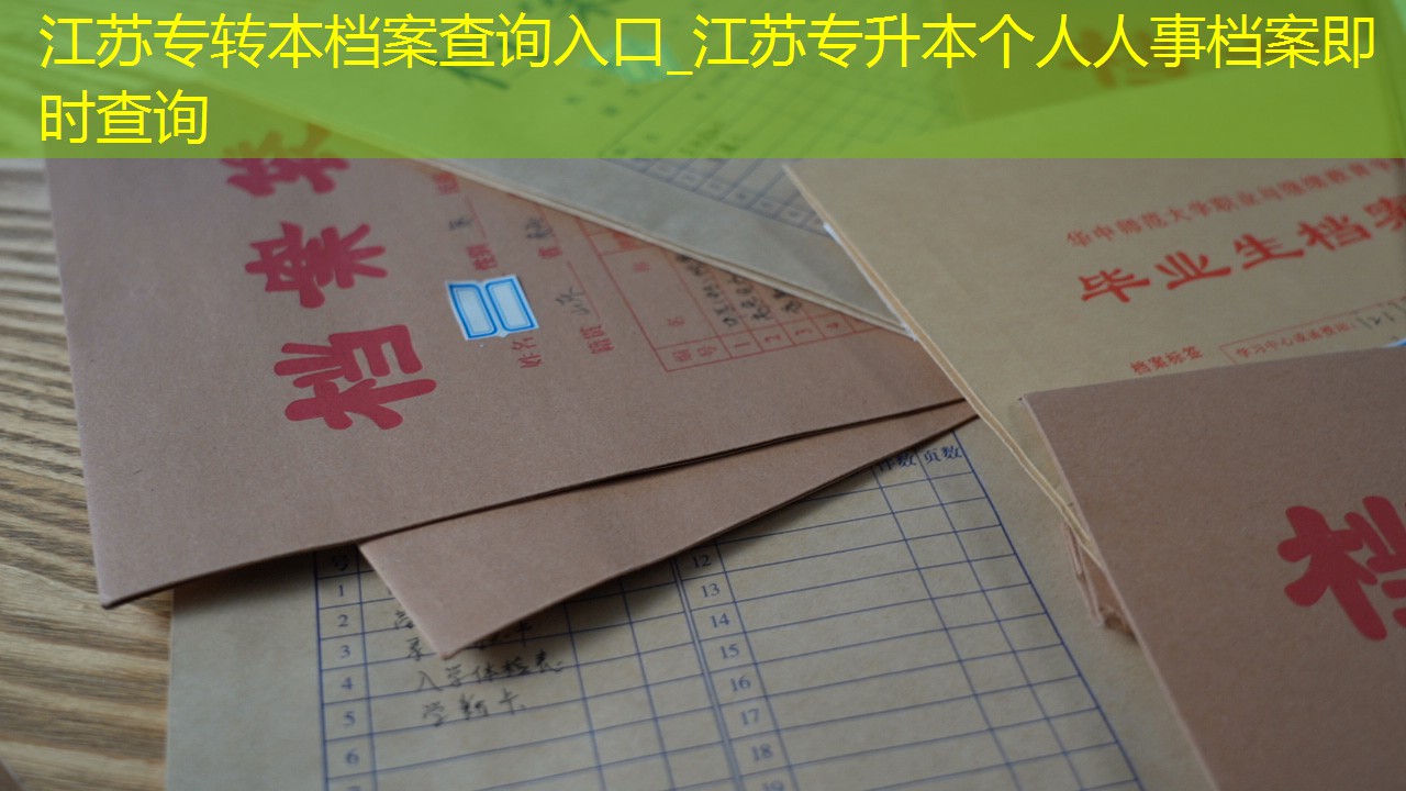 档案查询