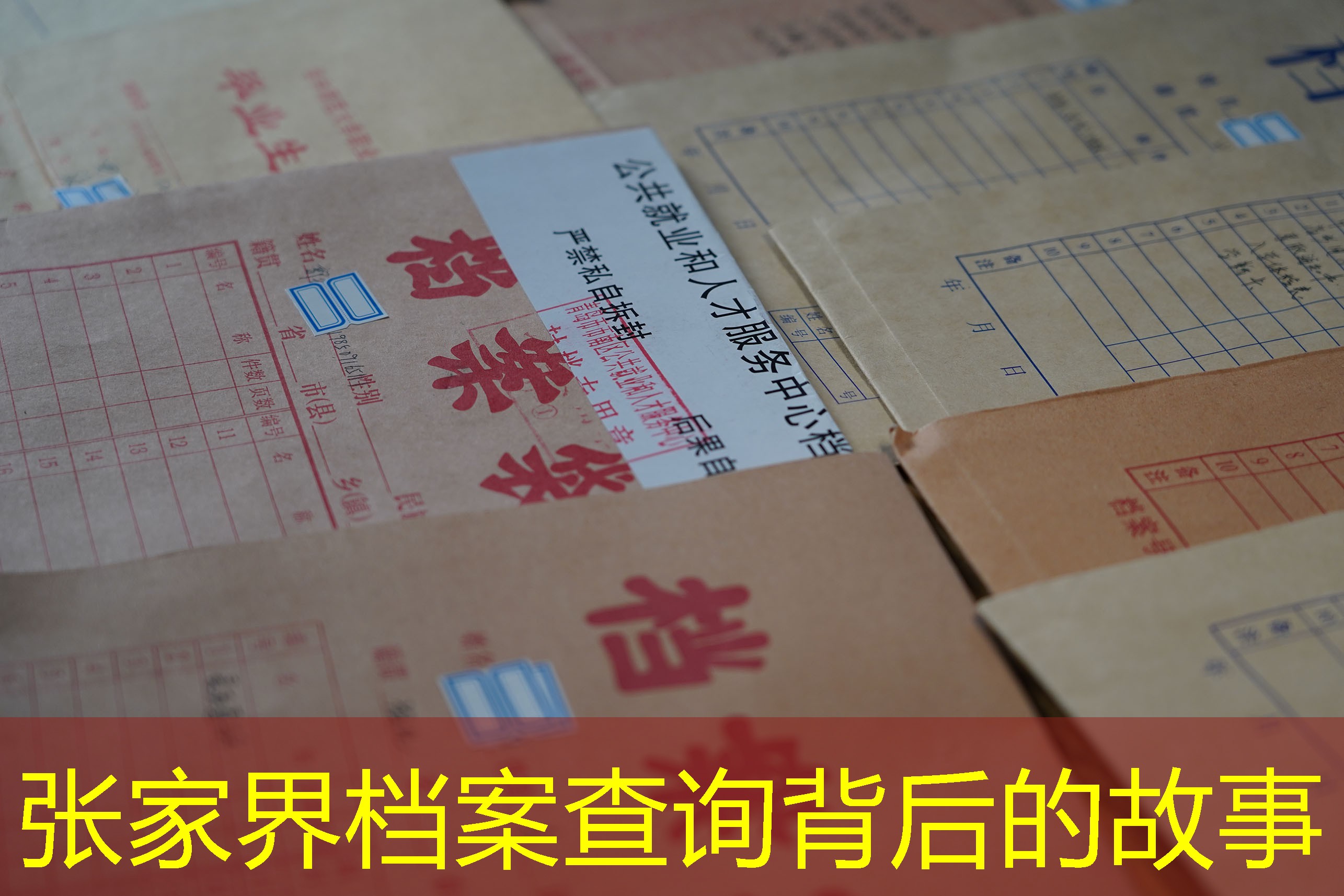 档案查询