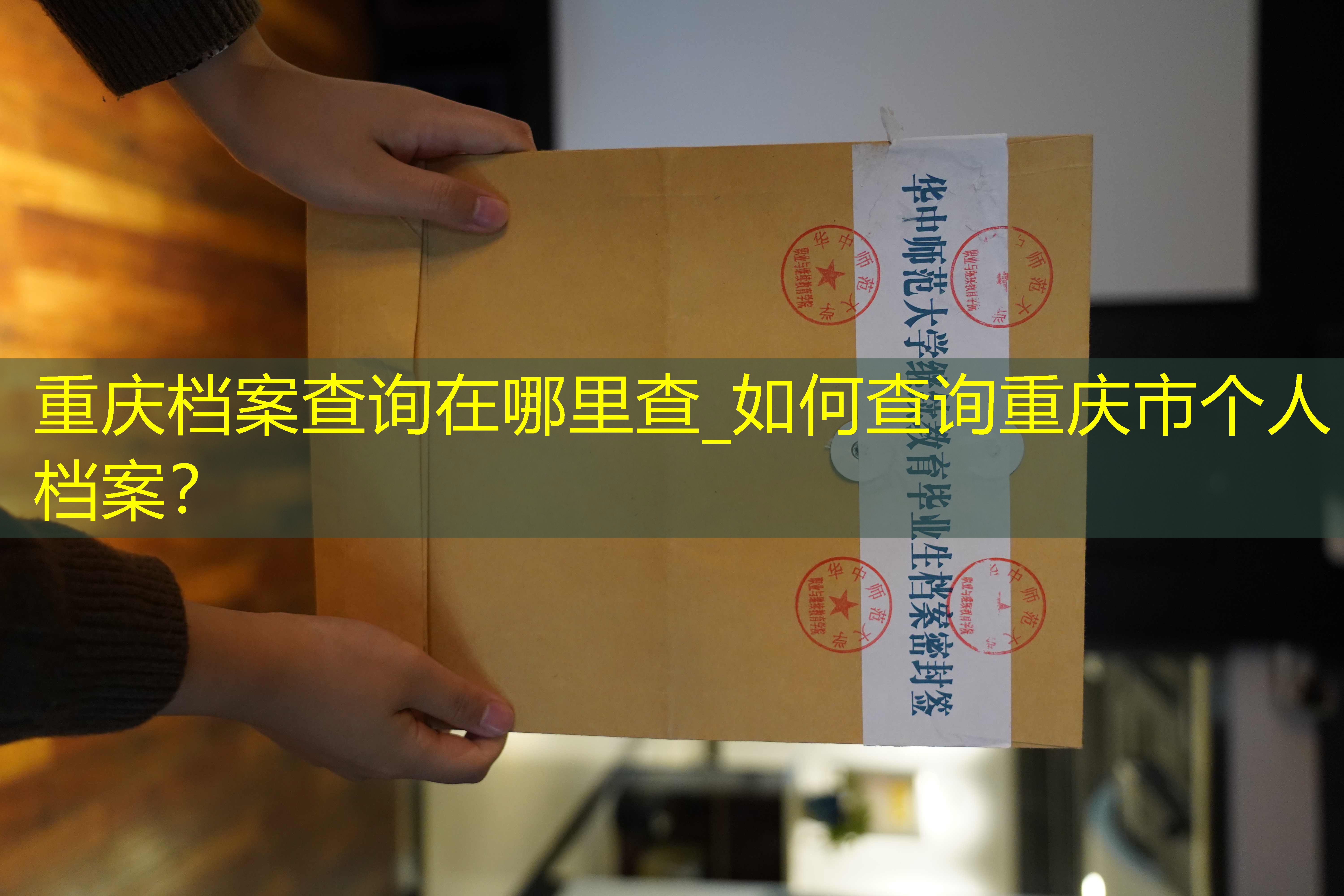 档案查询