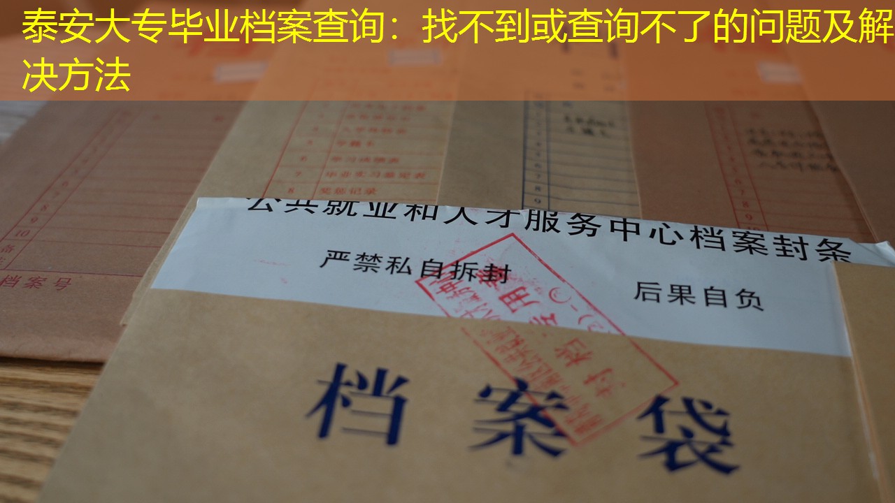 档案查询