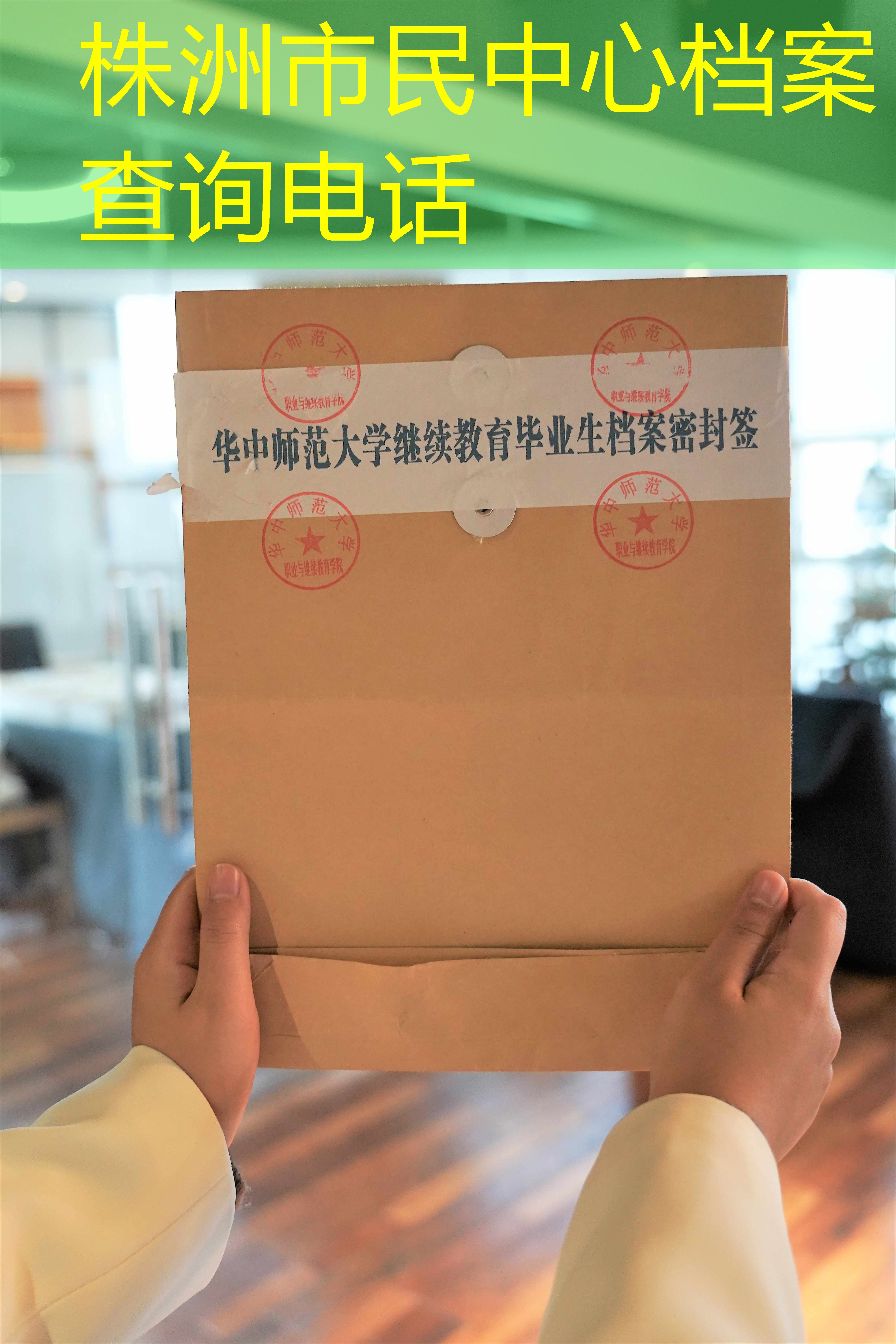 档案查询