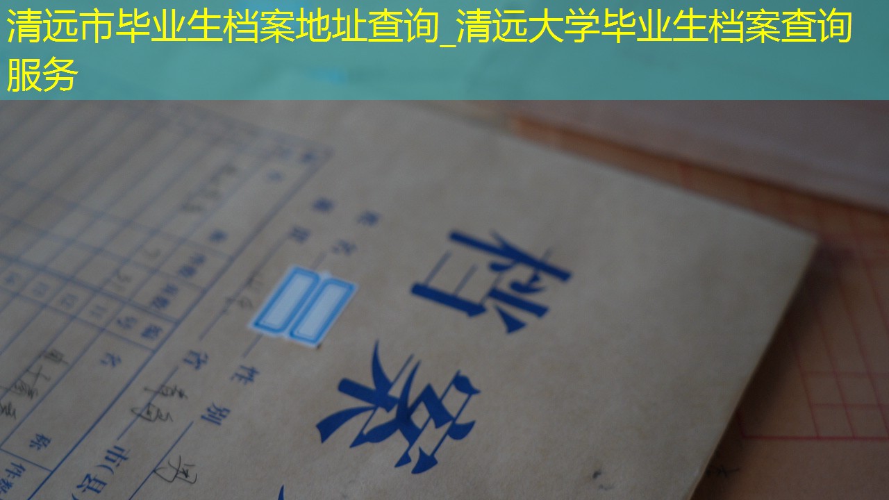 档案查询