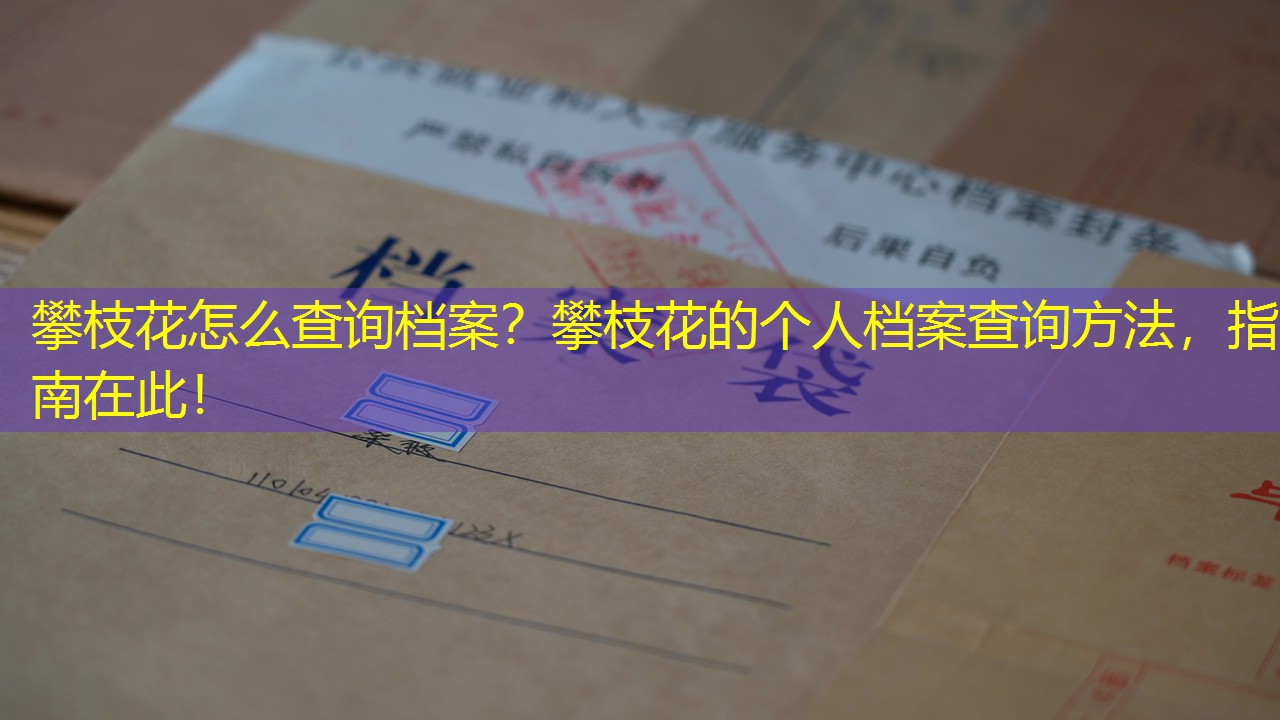 档案查询