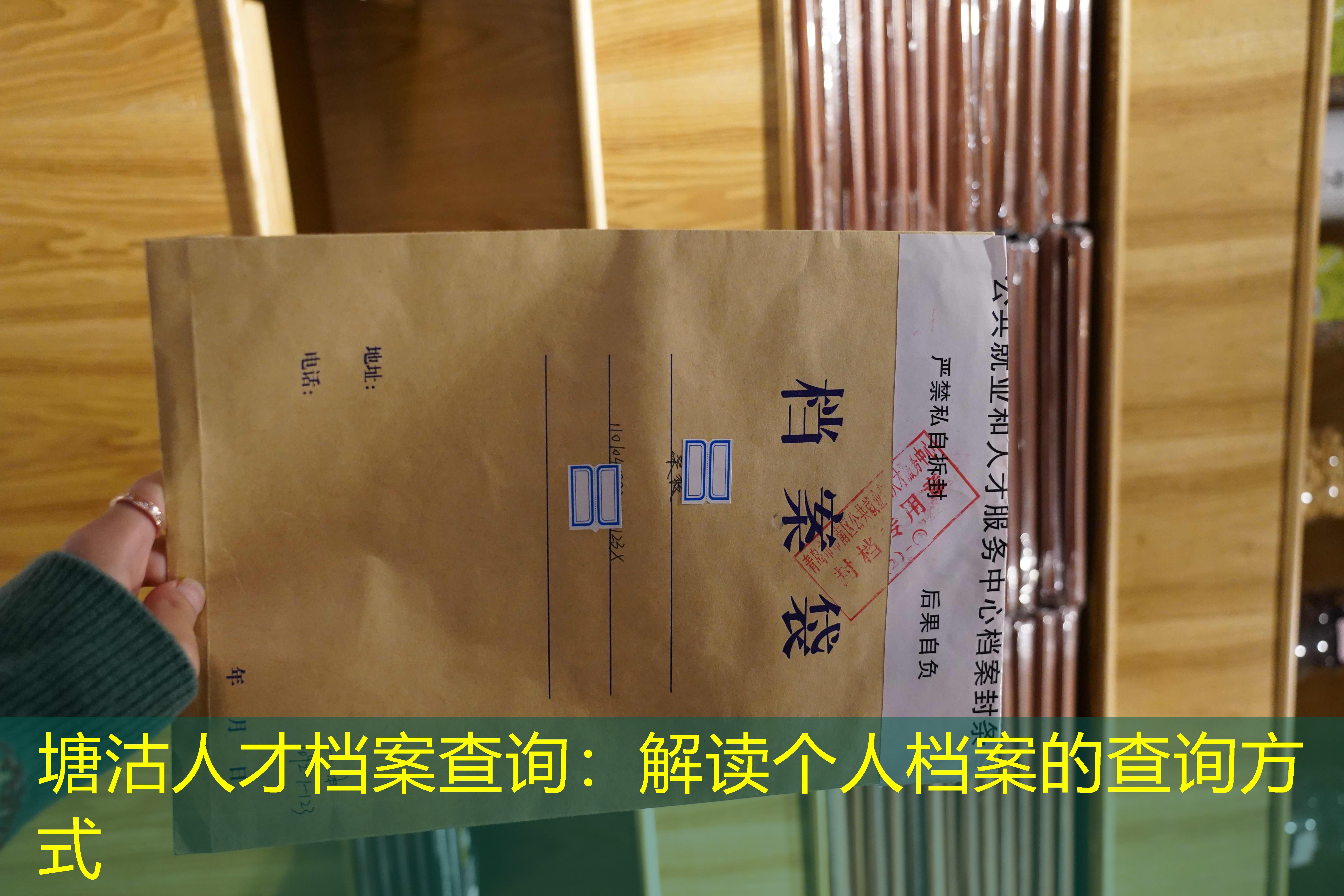 档案查询