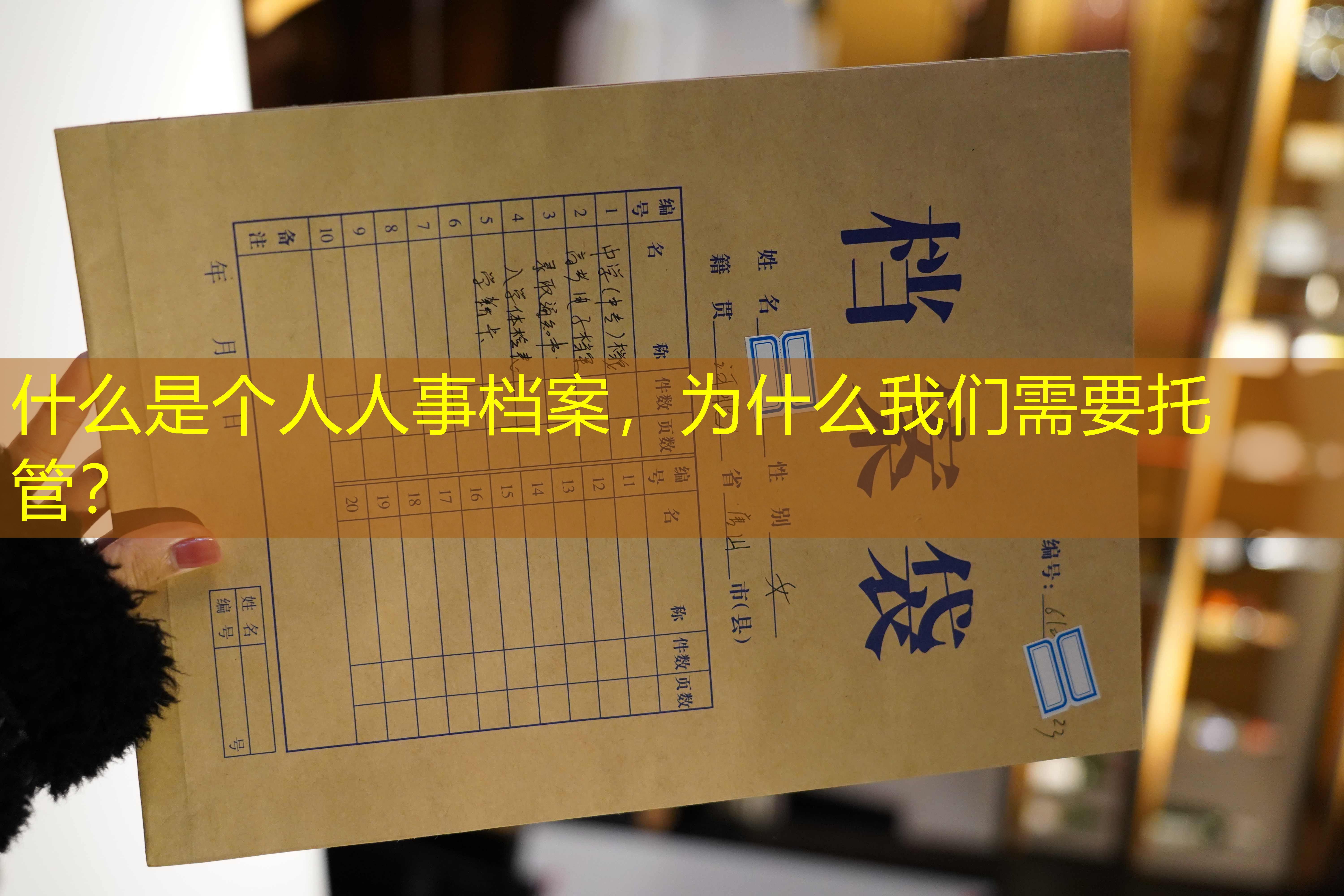 档案查询