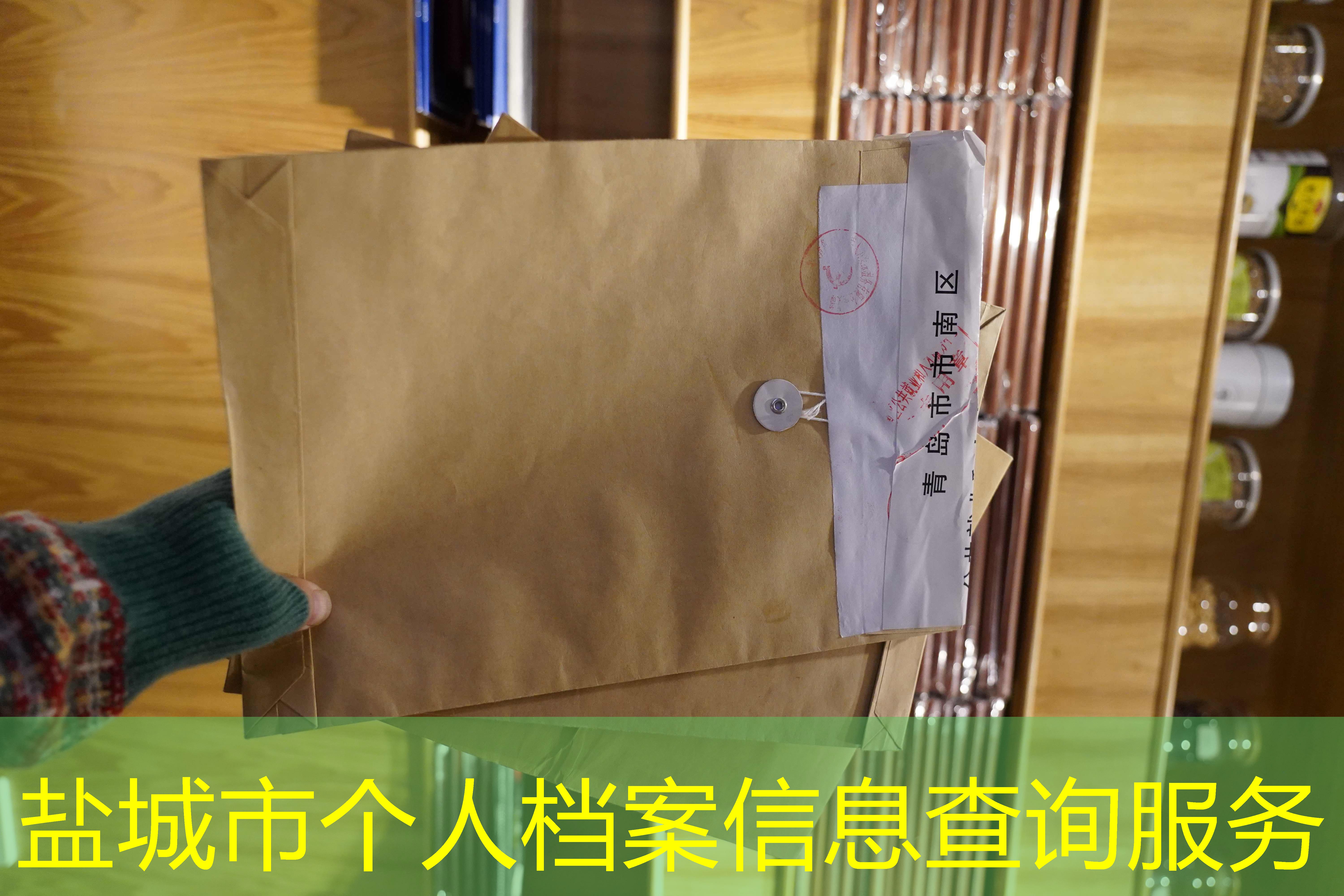 档案查询
