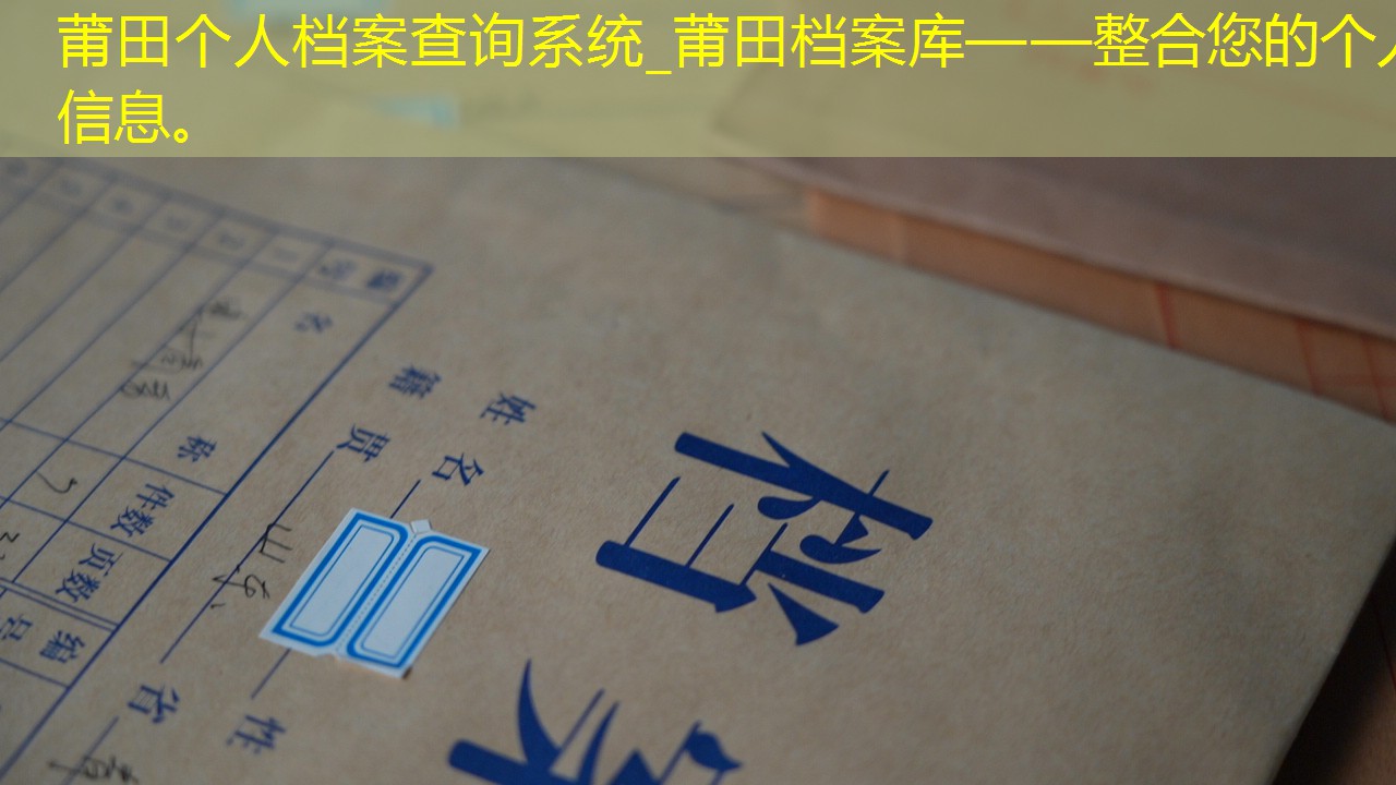 档案查询