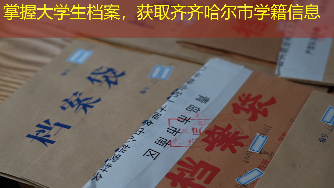 档案查询