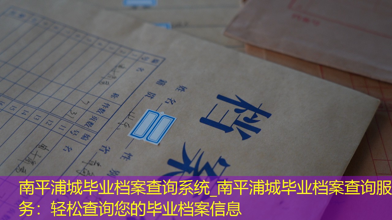 档案查询