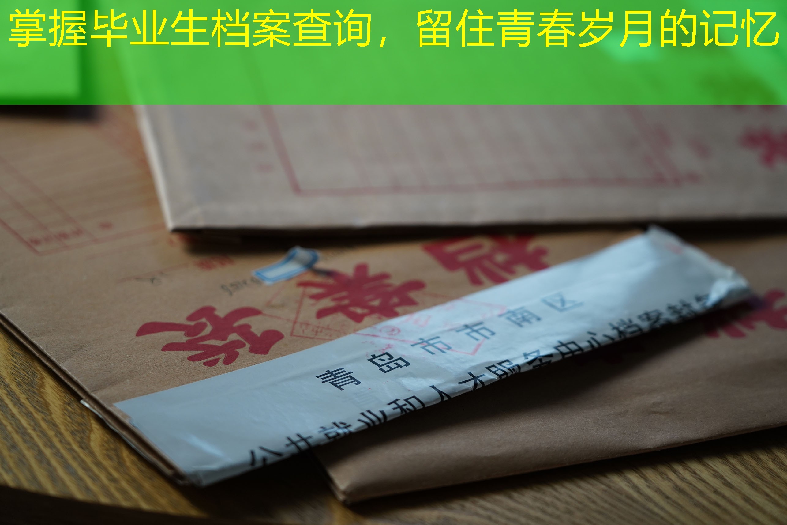 档案查询
