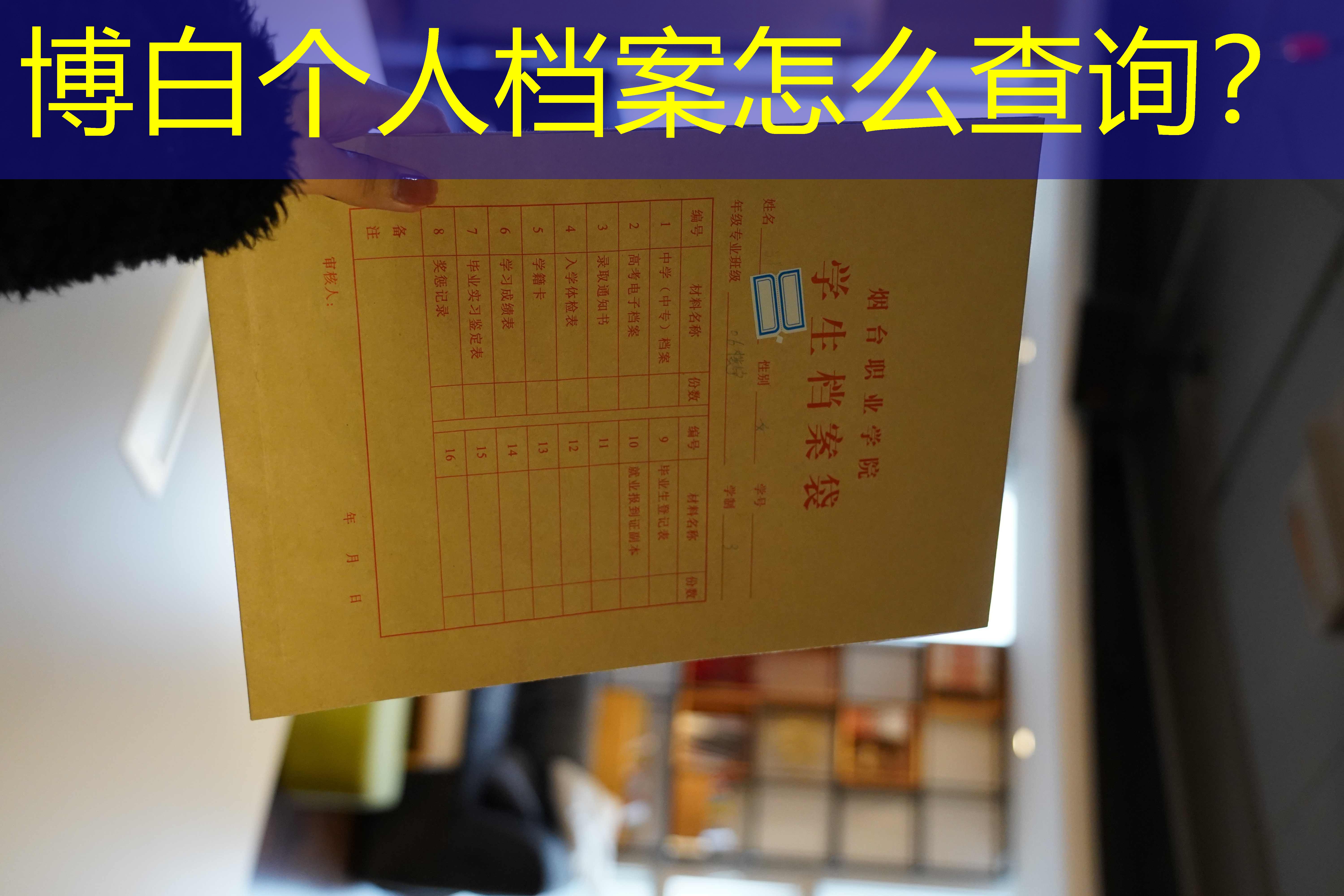 档案查询