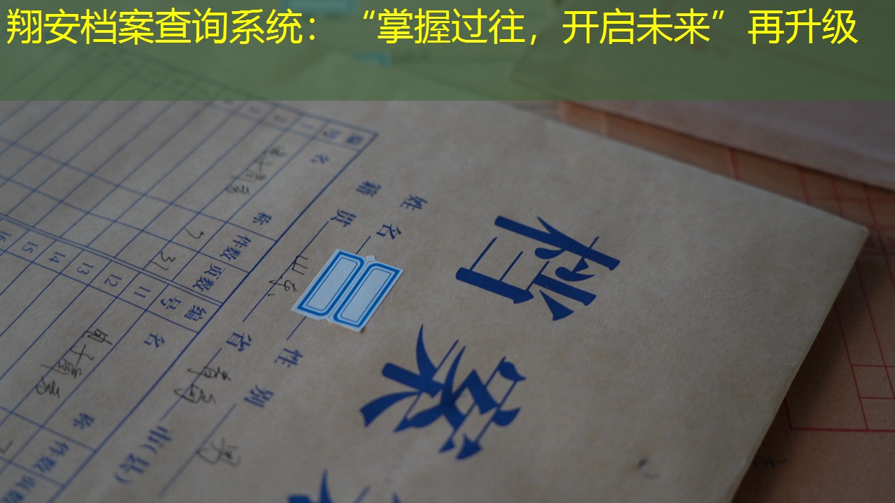 档案查询