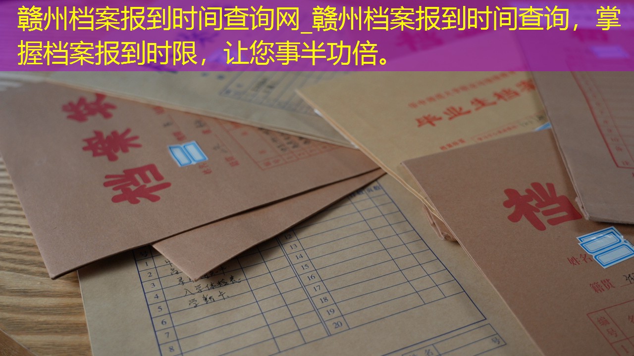 档案查询