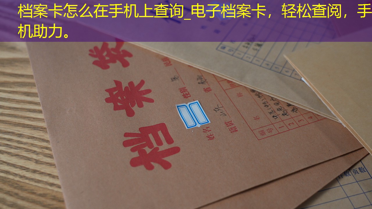 档案查询