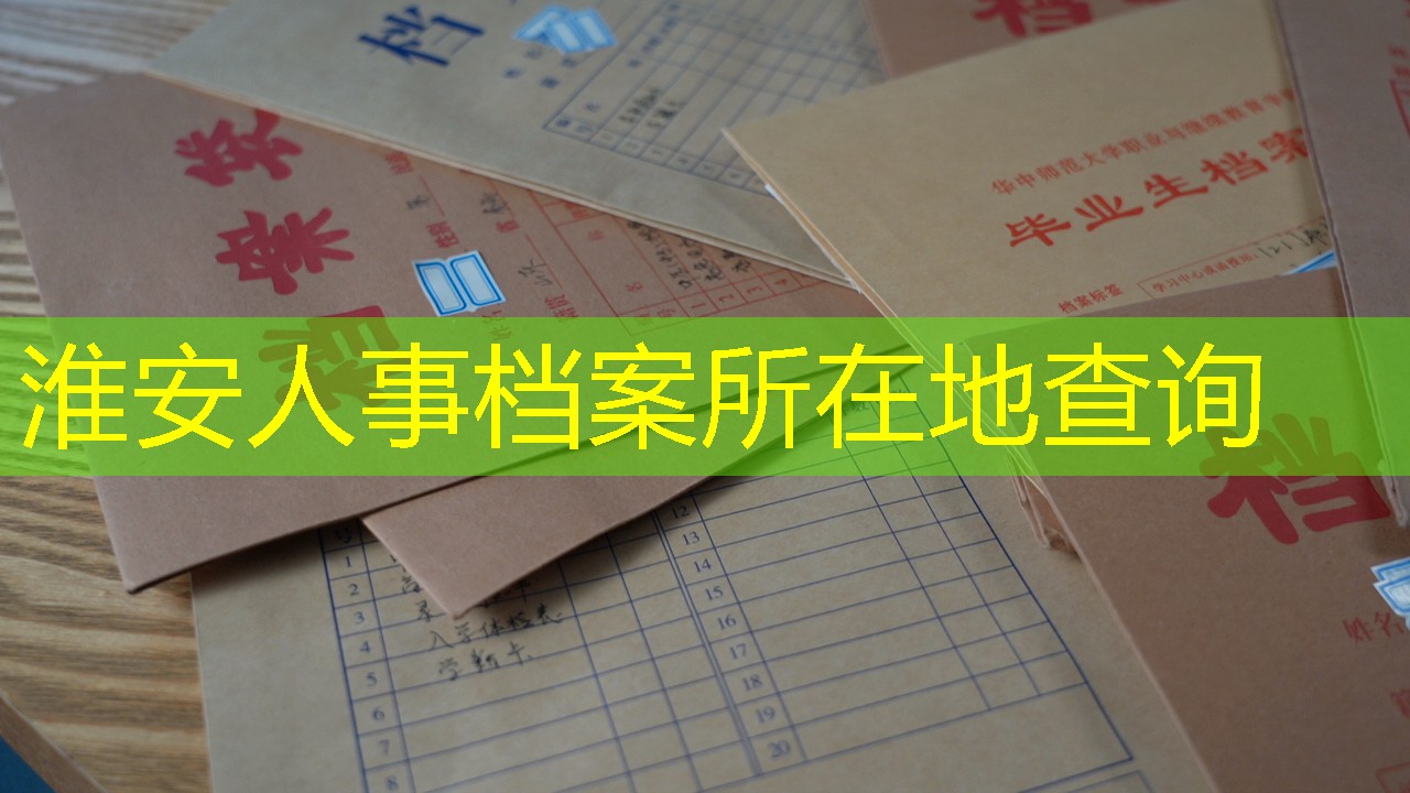 档案查询