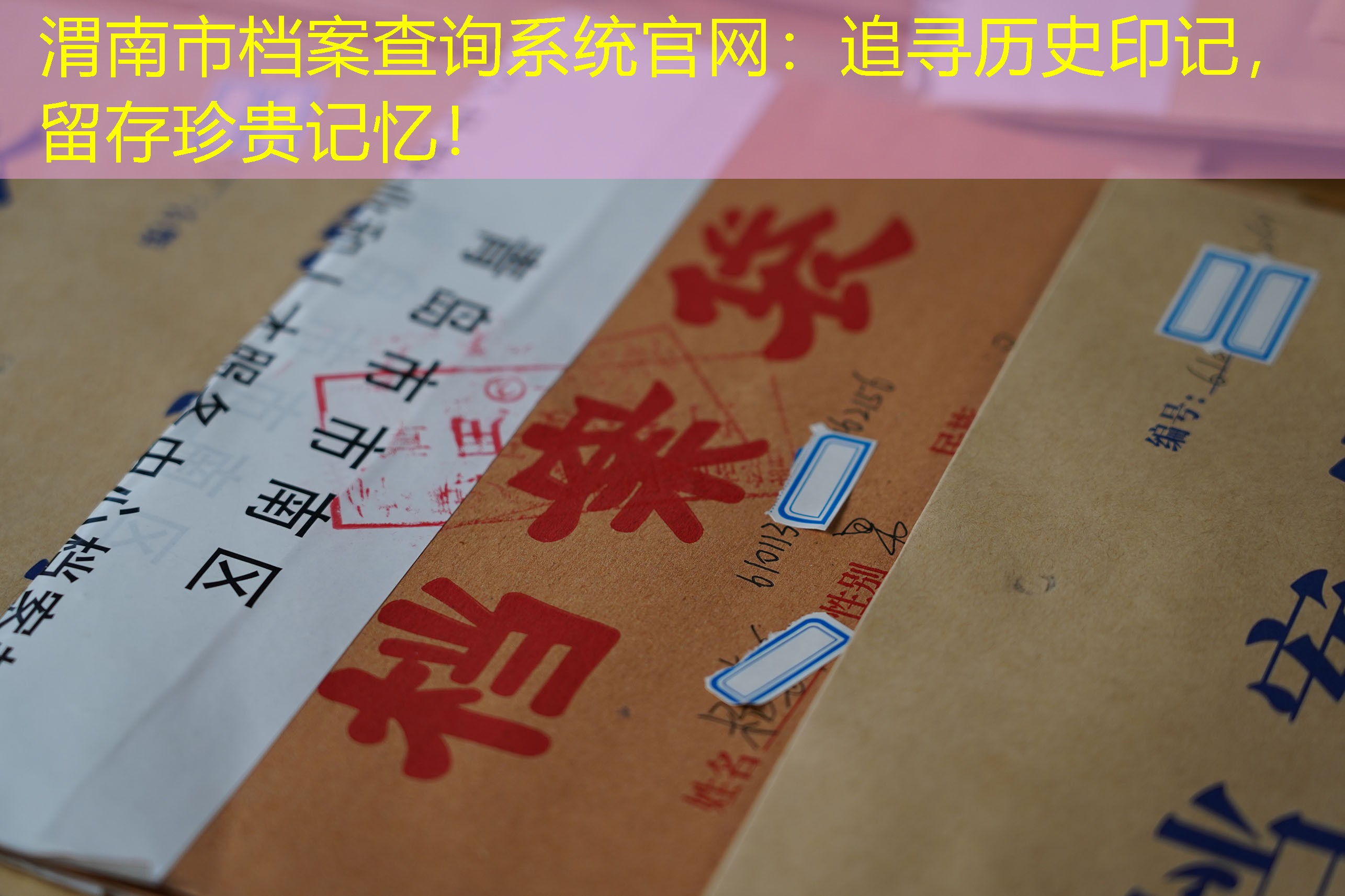 档案查询