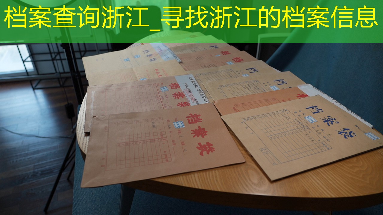 档案查询