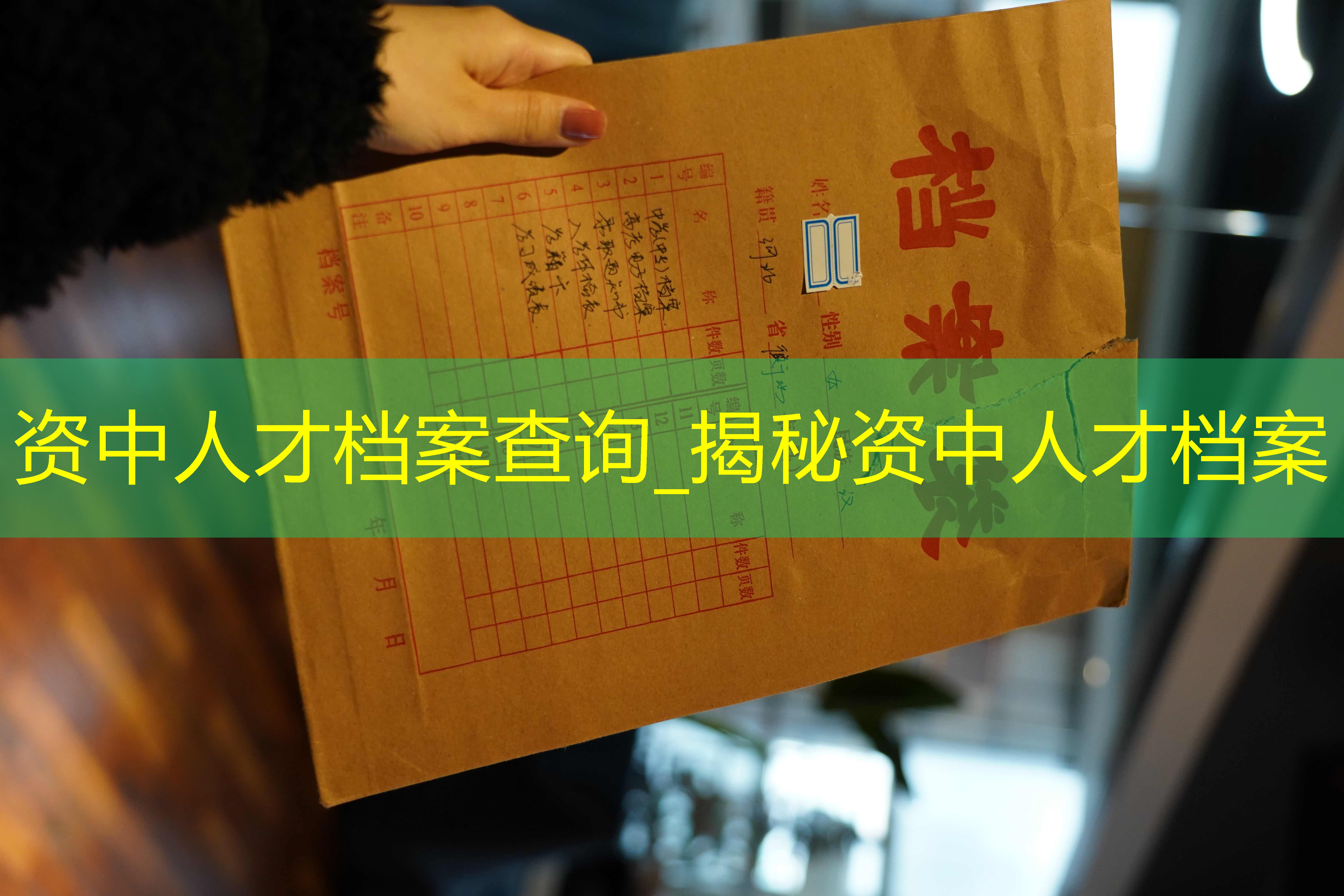 档案查询