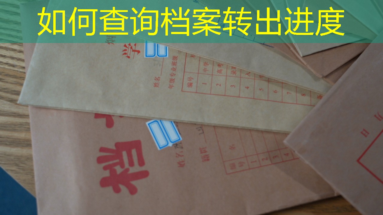 档案查询