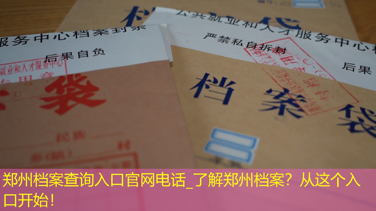 档案查询