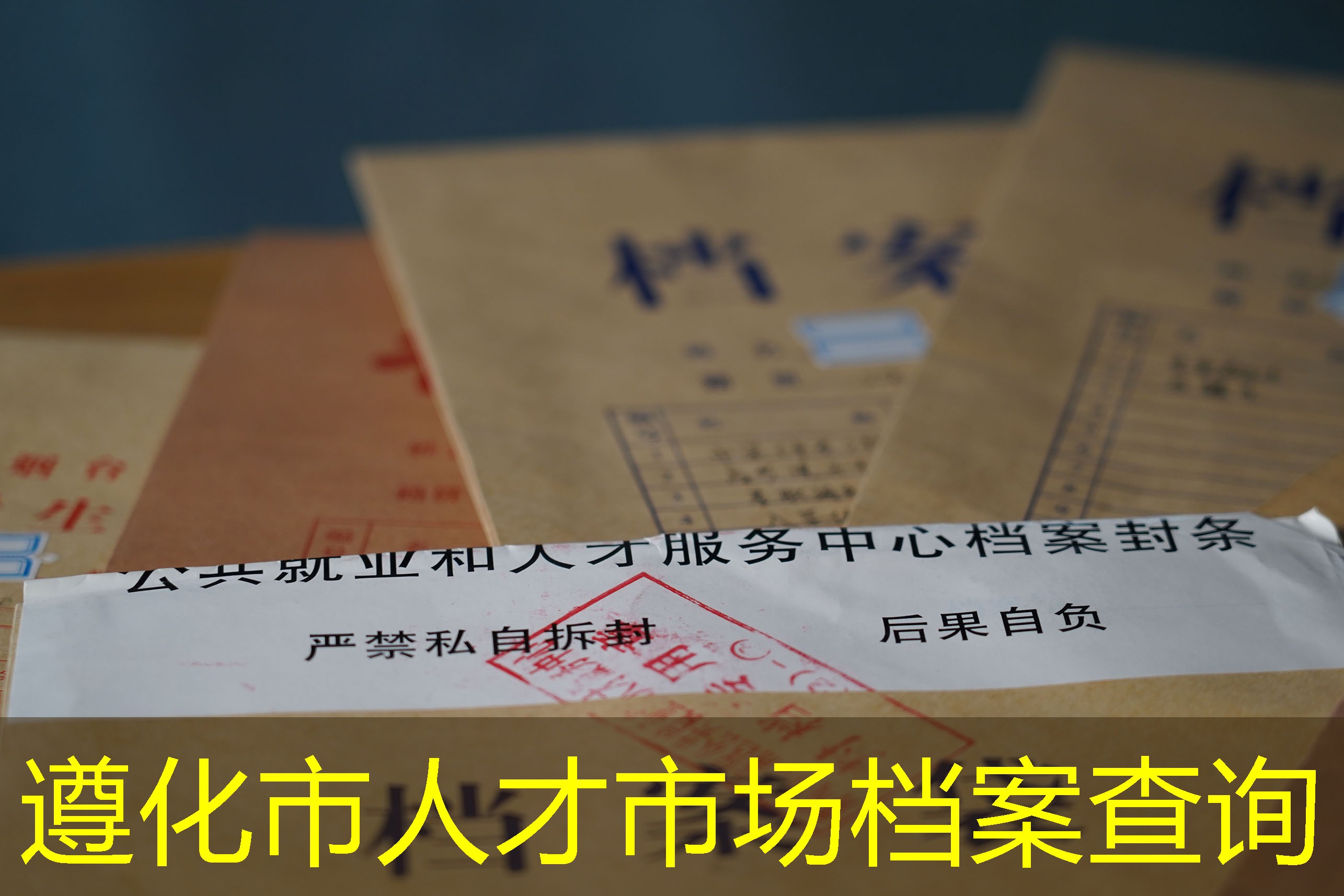 档案查询