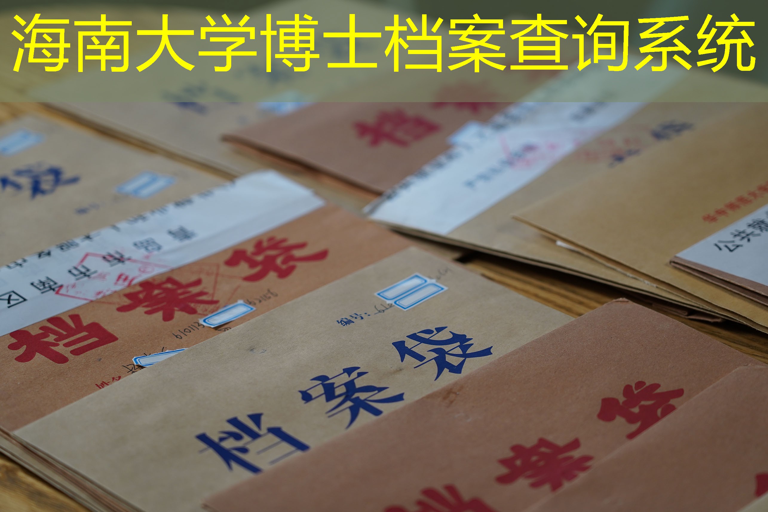 档案查询