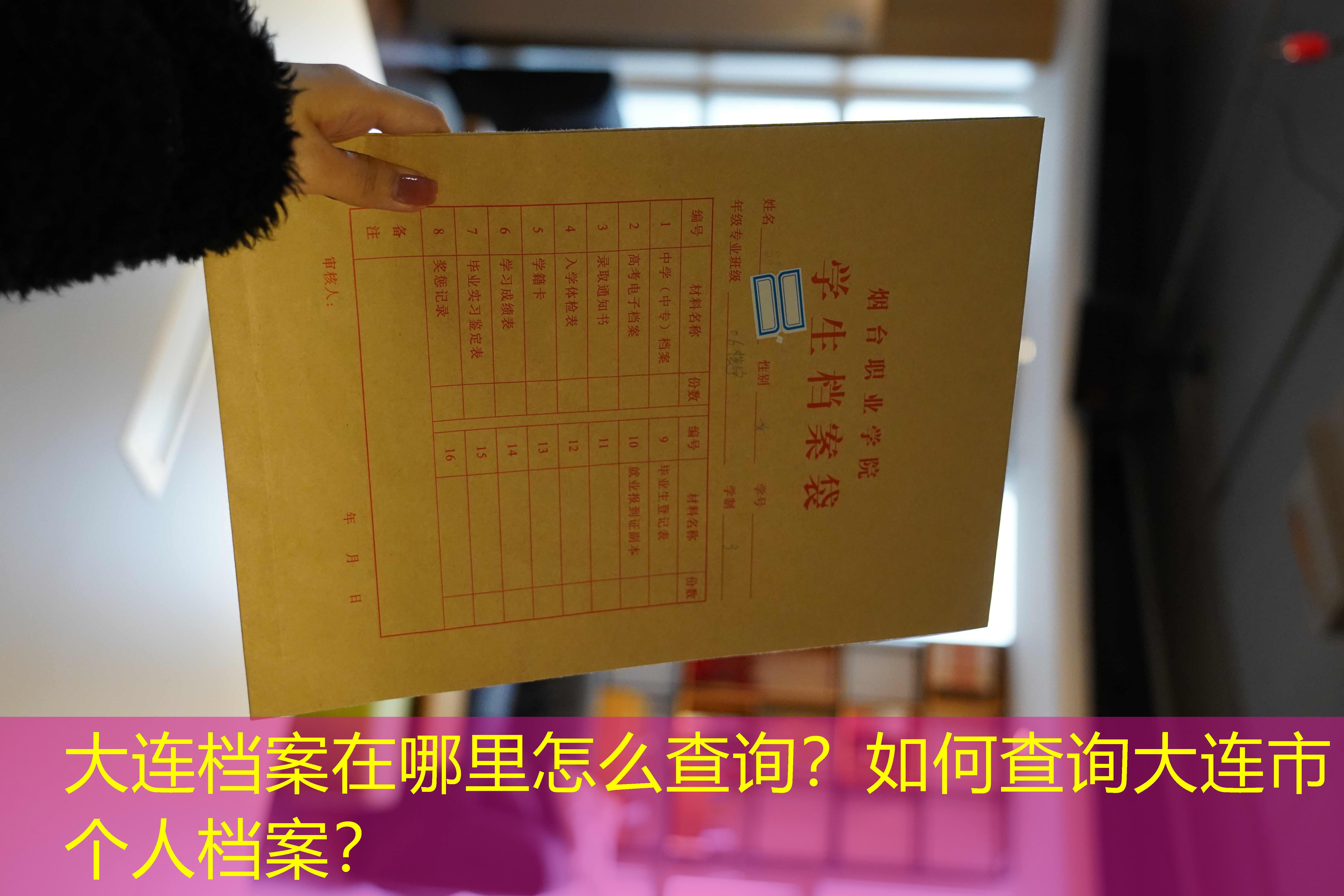 档案查询