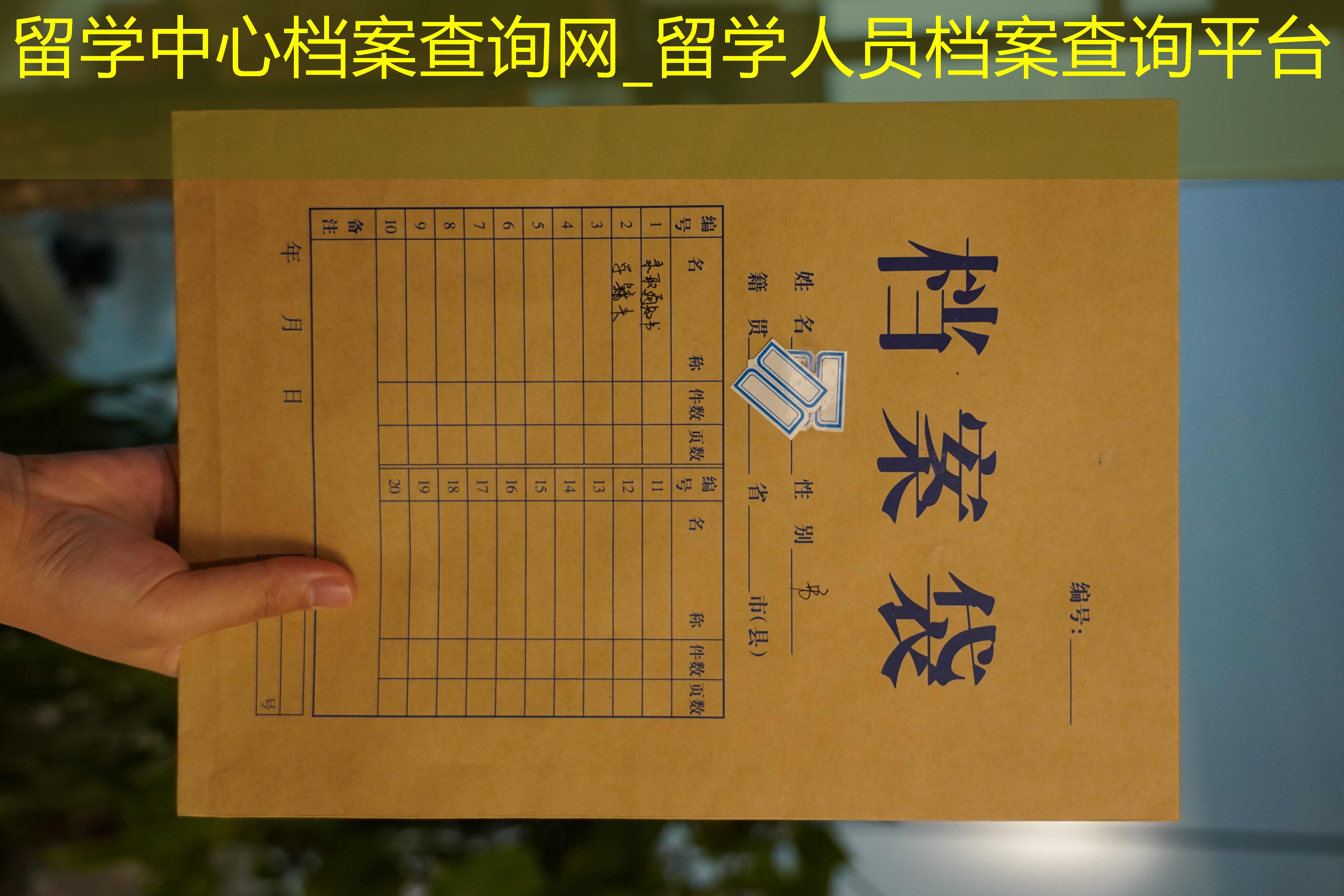 档案查询