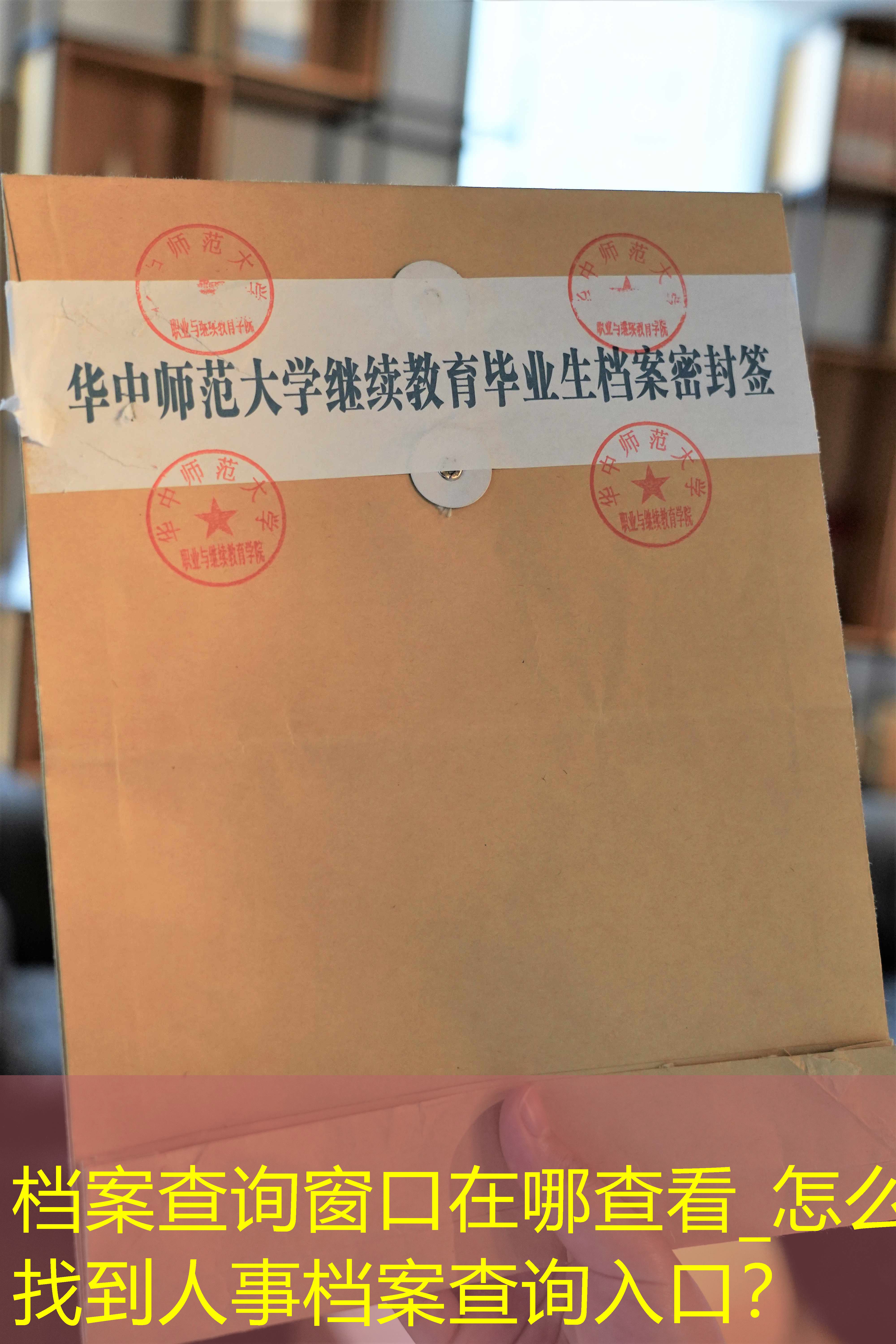 档案查询