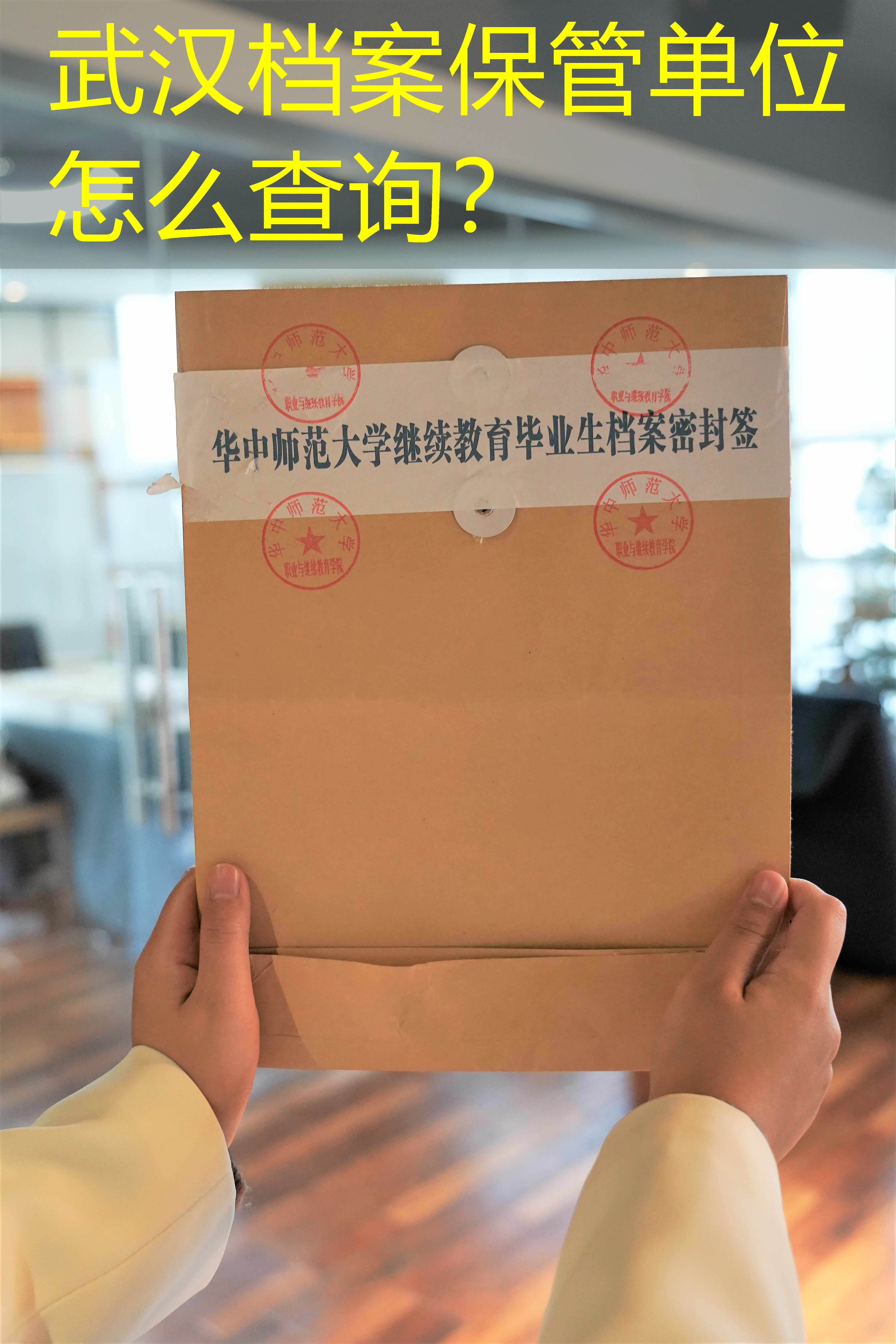 档案查询