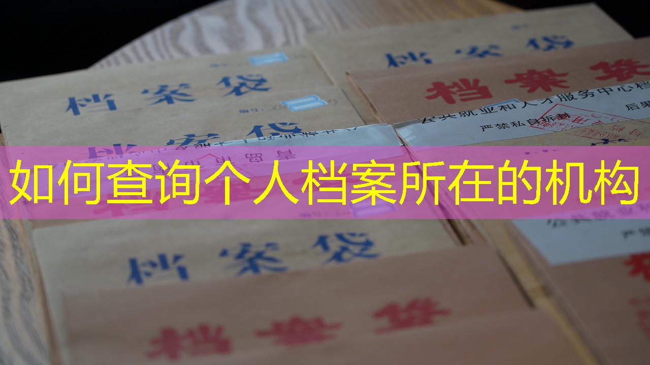 档案查询