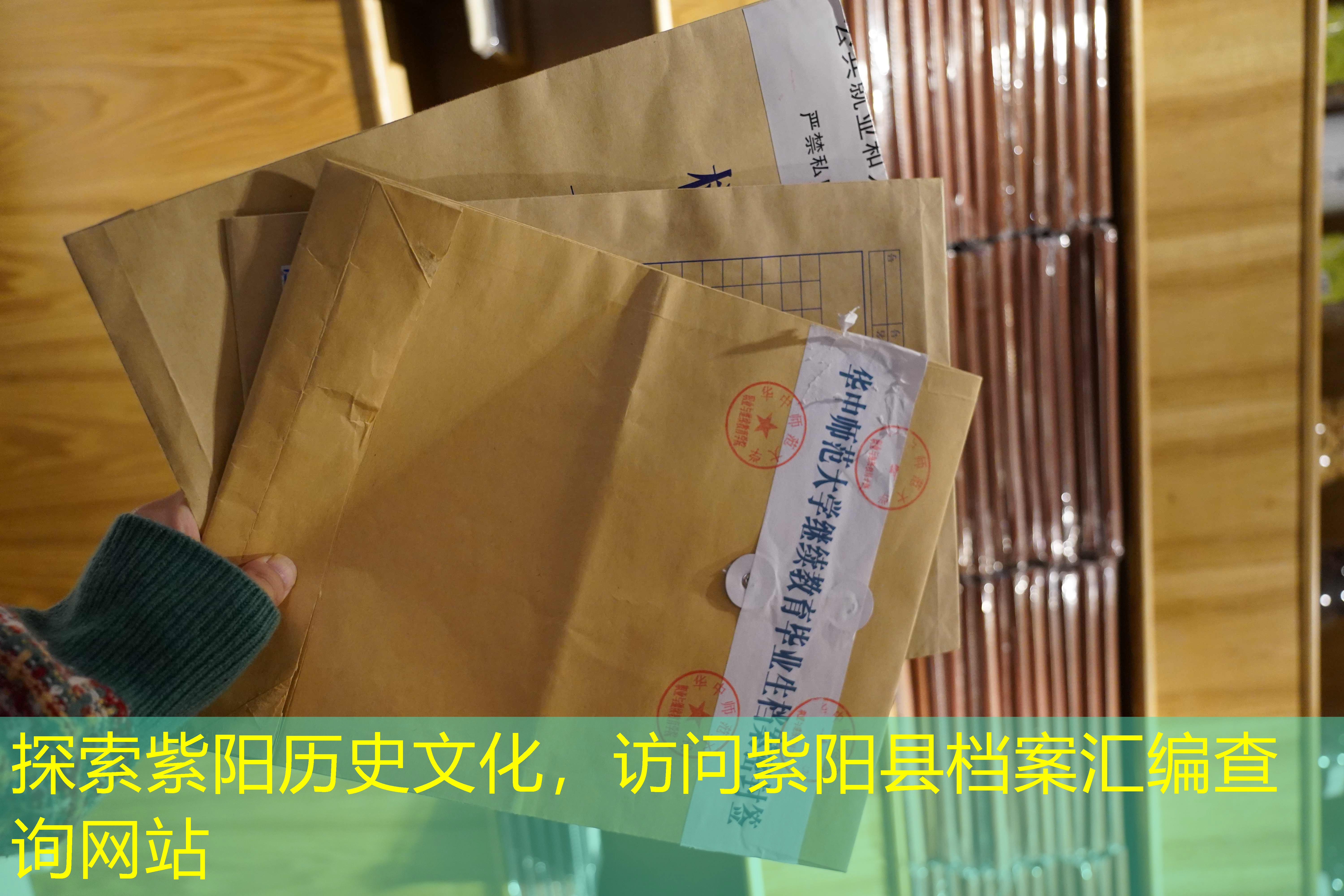 档案查询