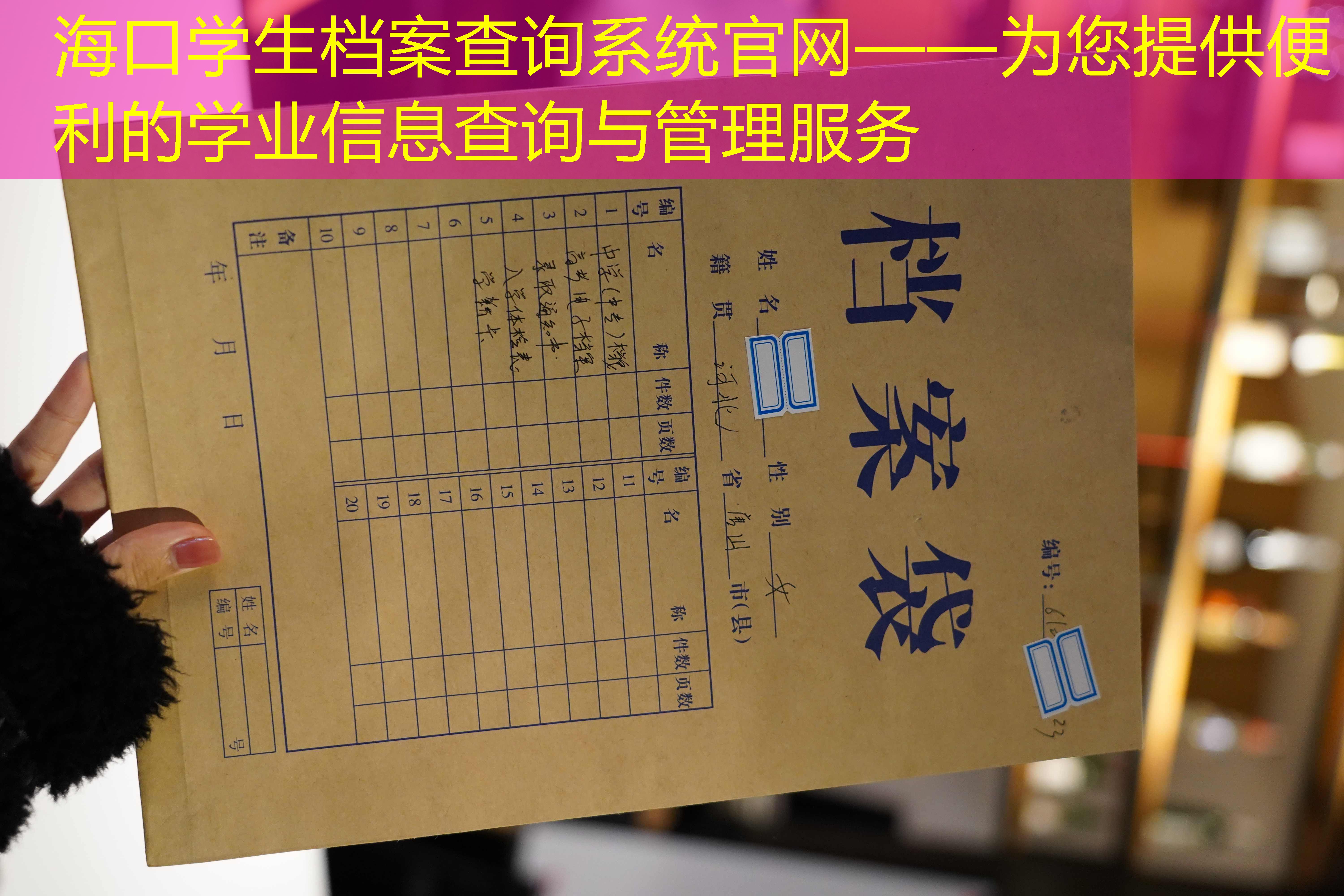 档案查询