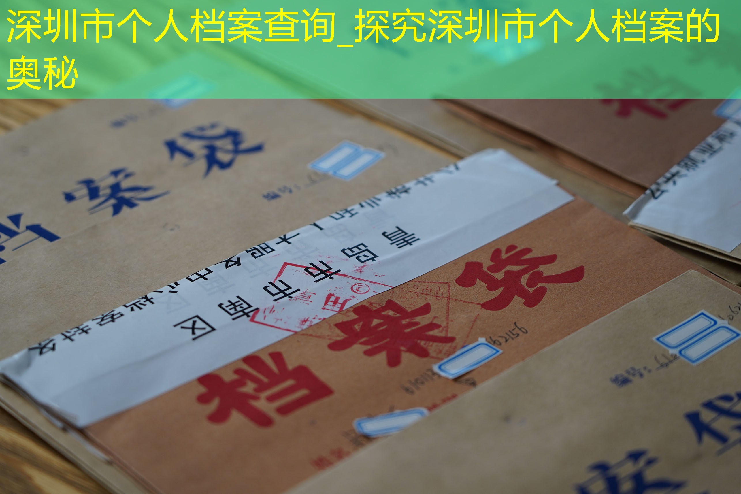 档案查询