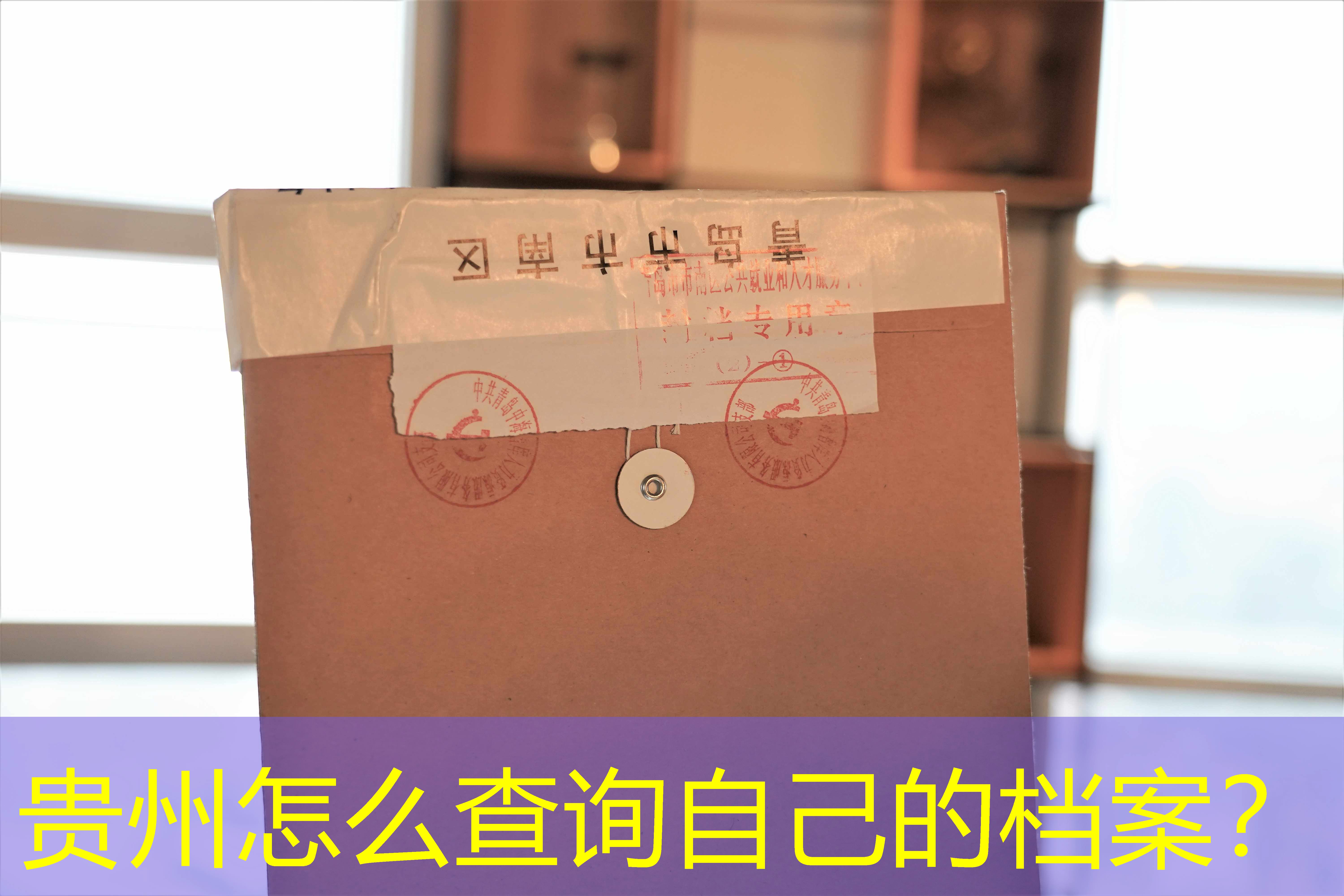 档案查询
