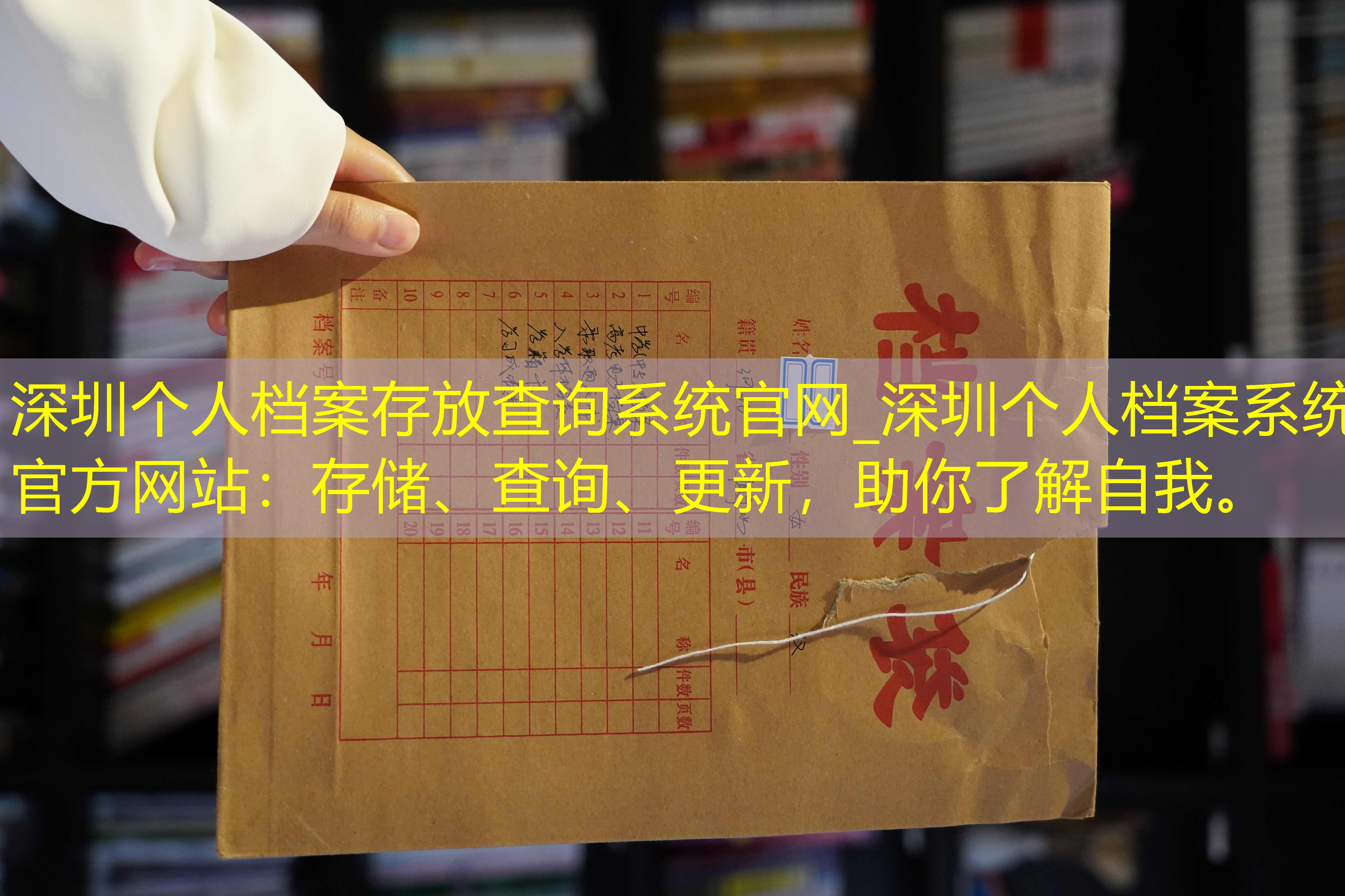 档案查询