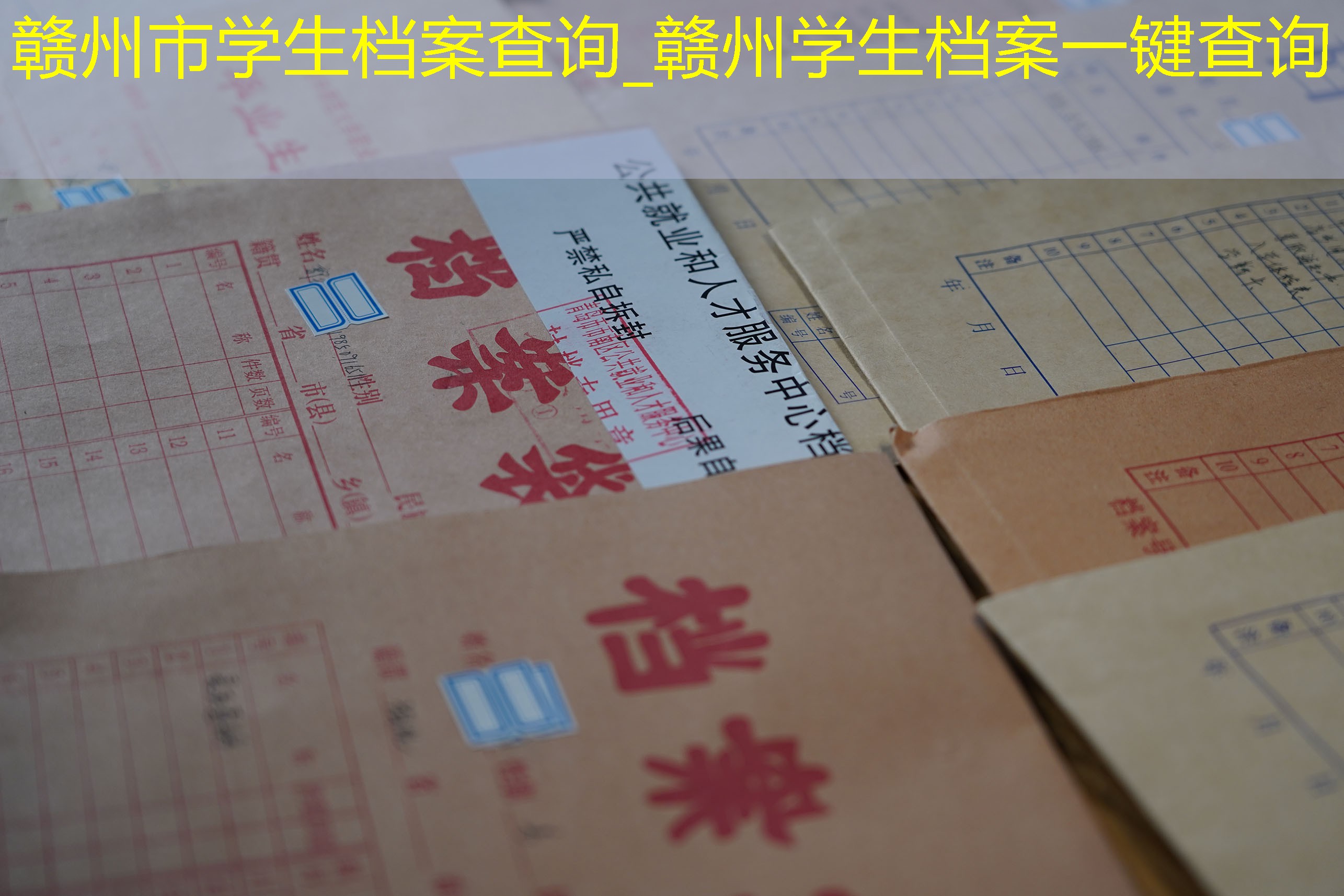 档案查询