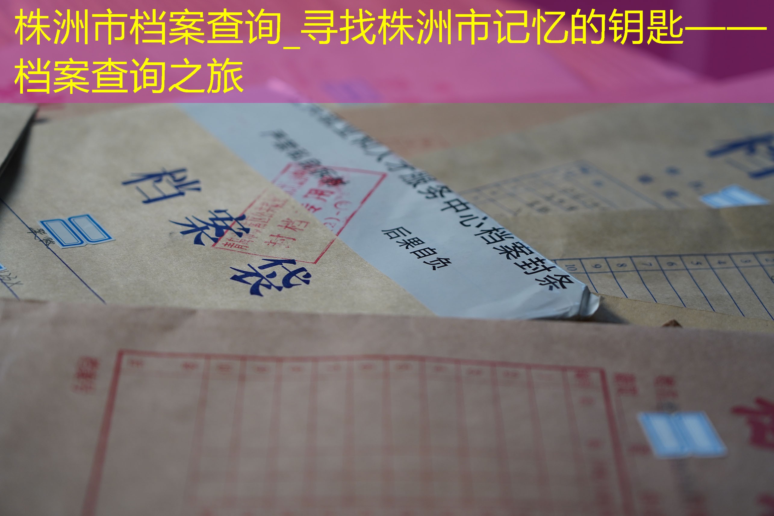 档案查询