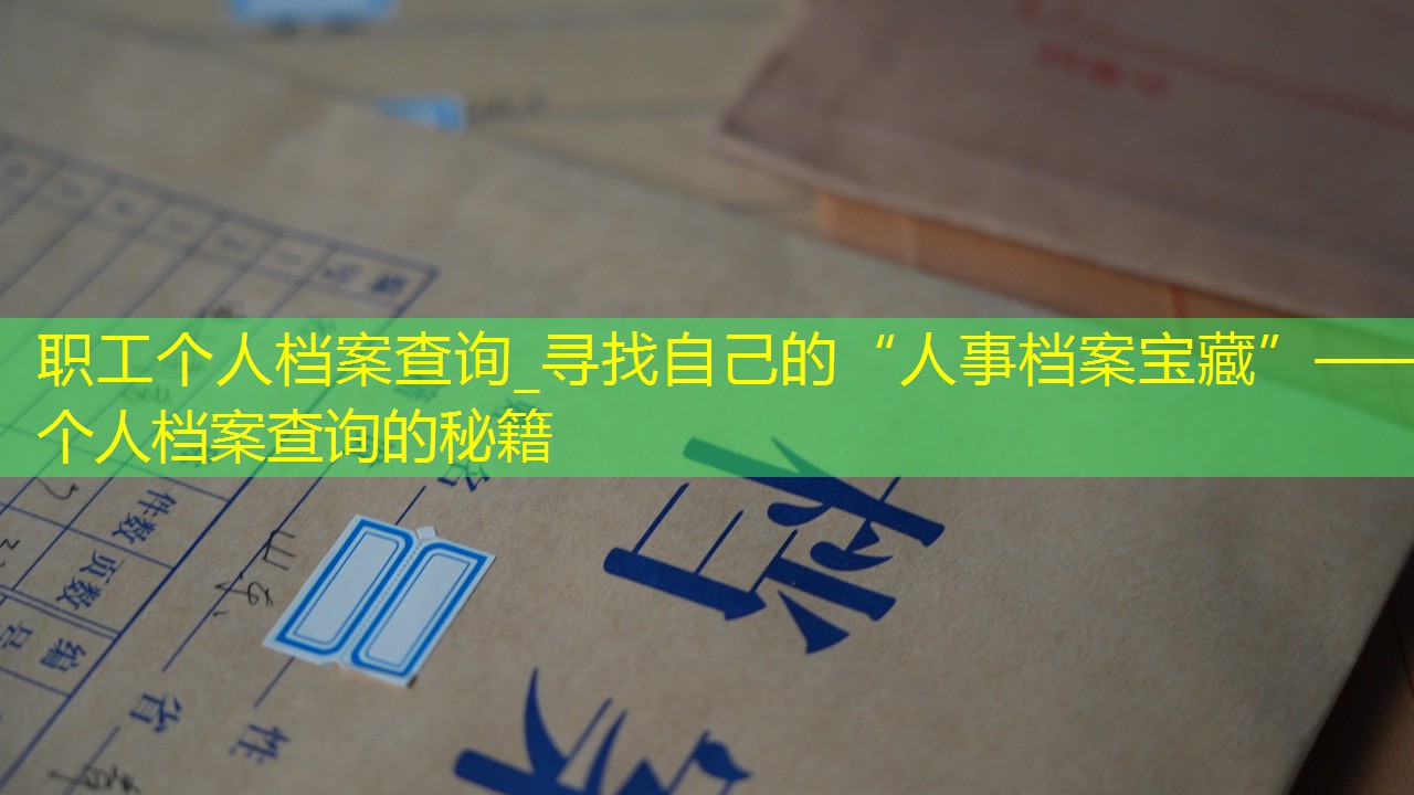 档案查询