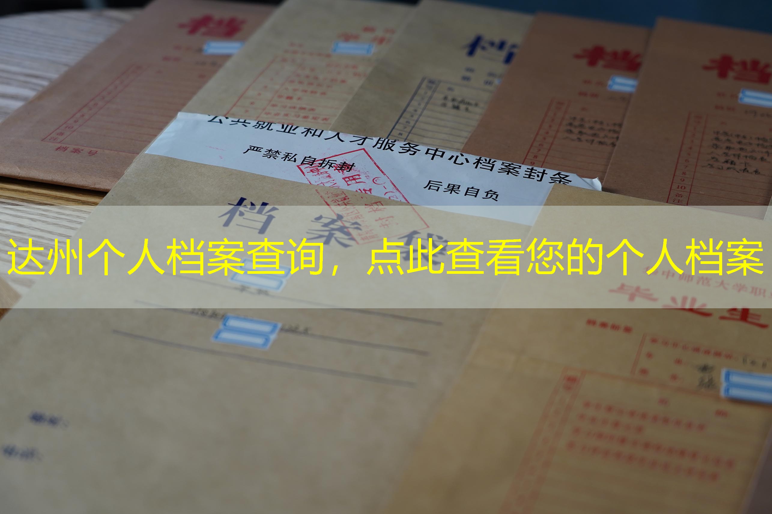 档案查询