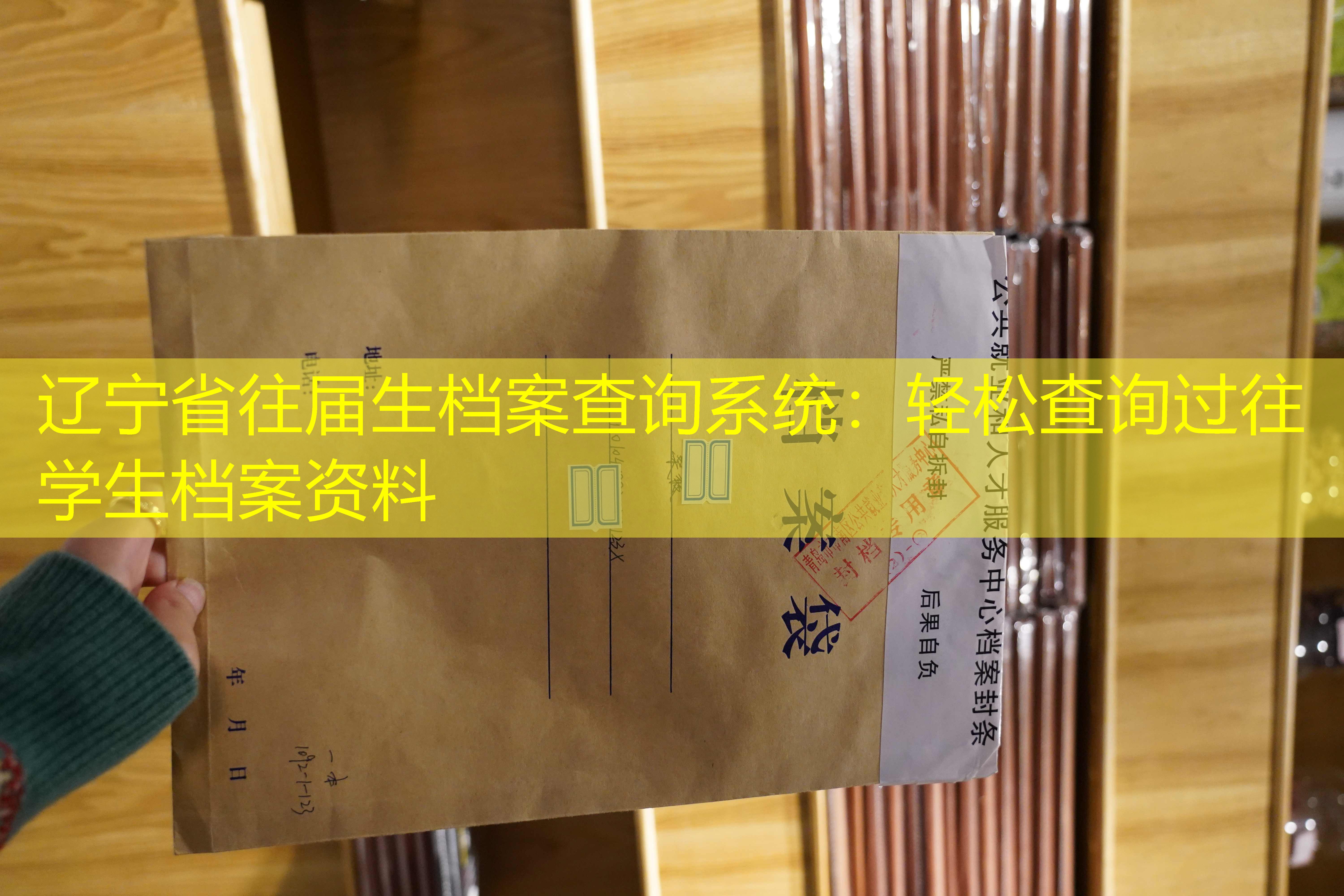 档案查询