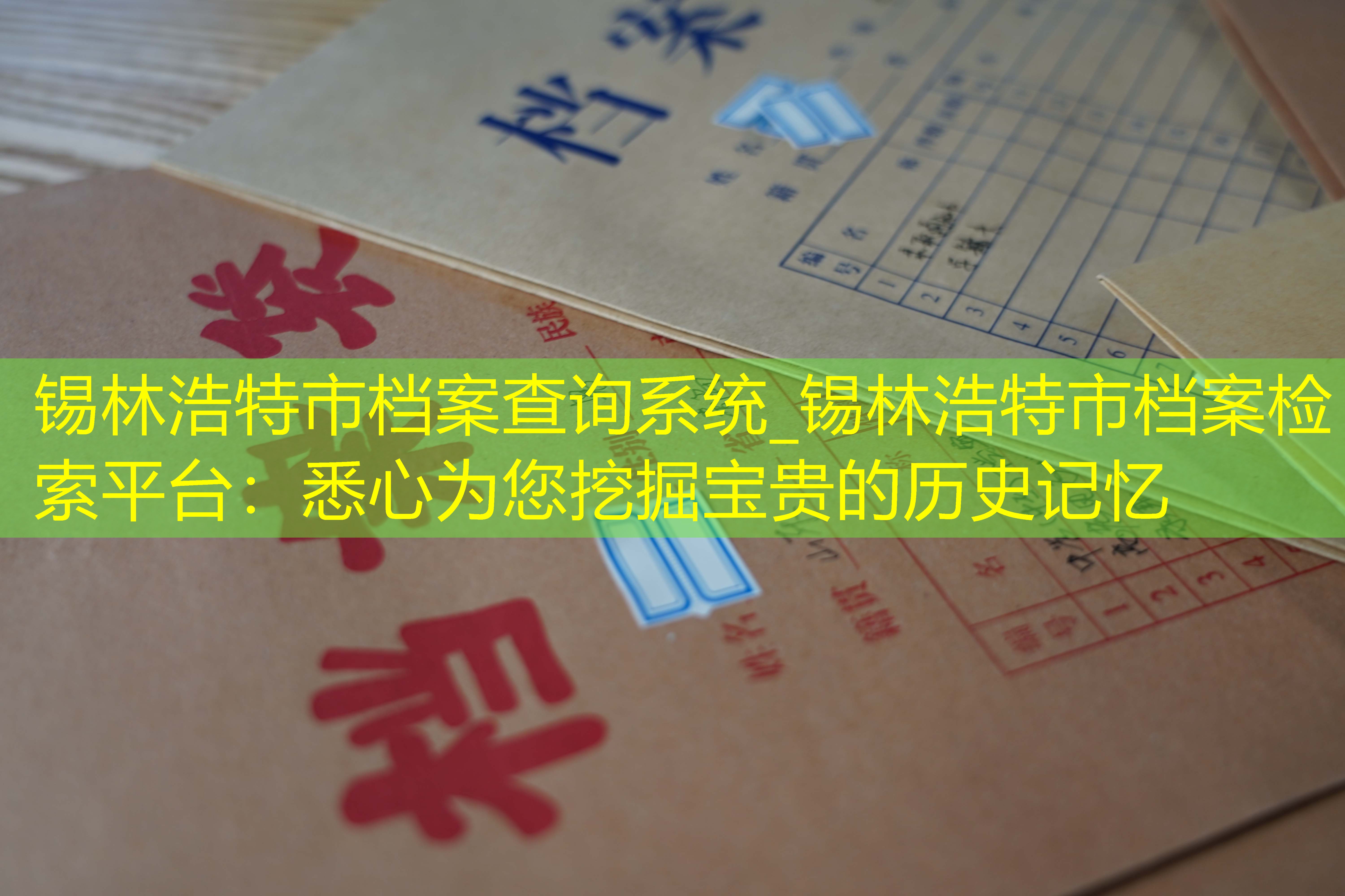档案查询