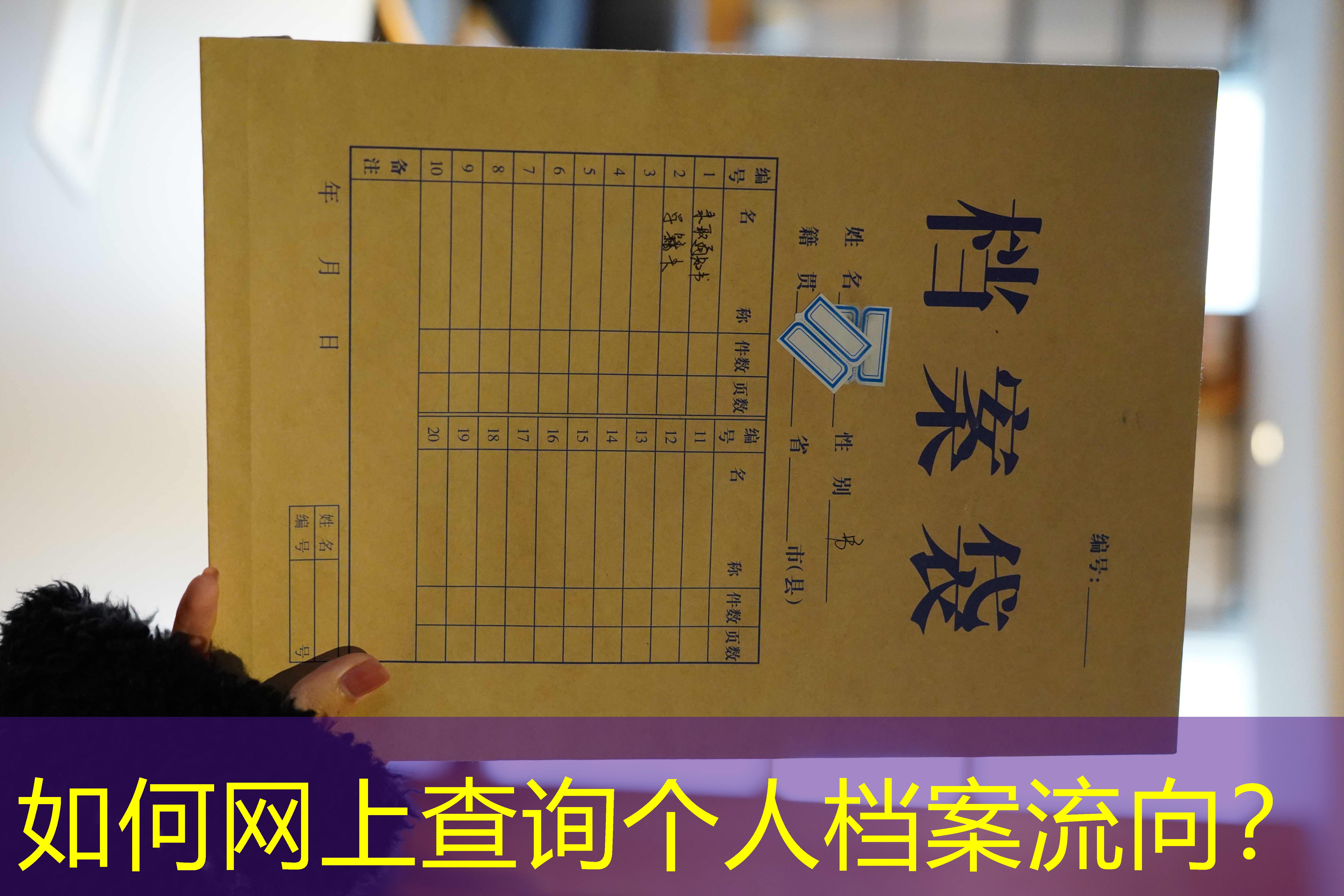 档案查询