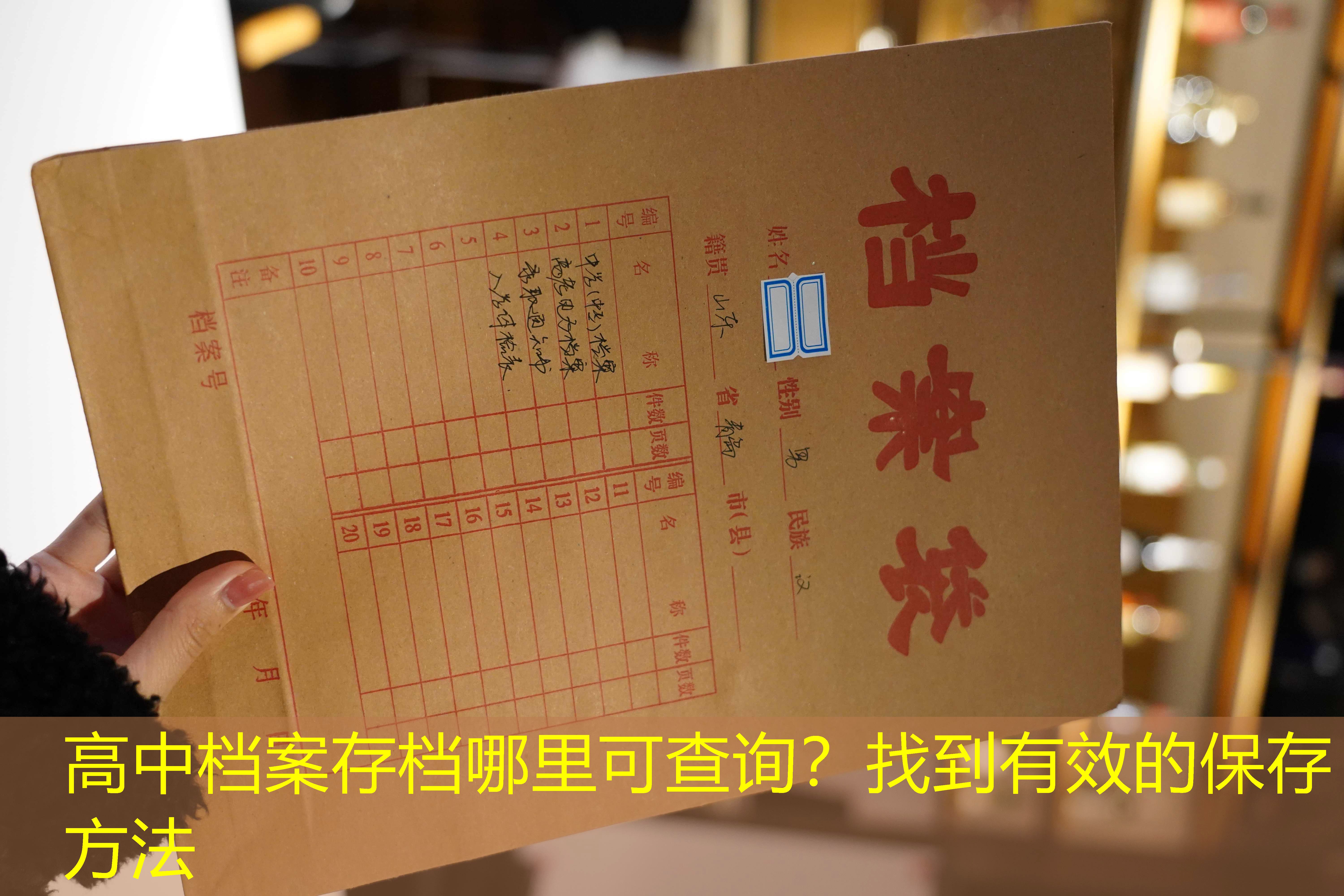 档案查询