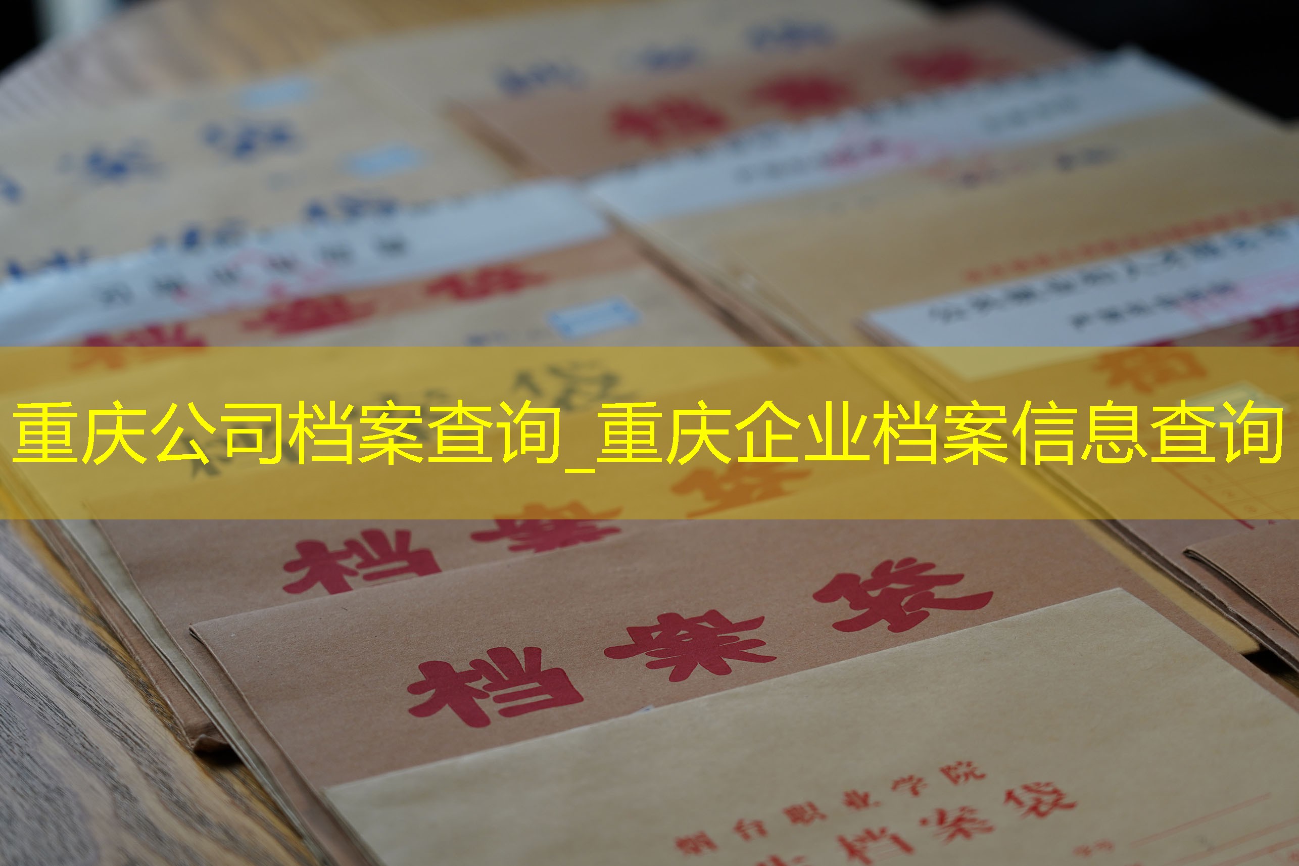 档案查询