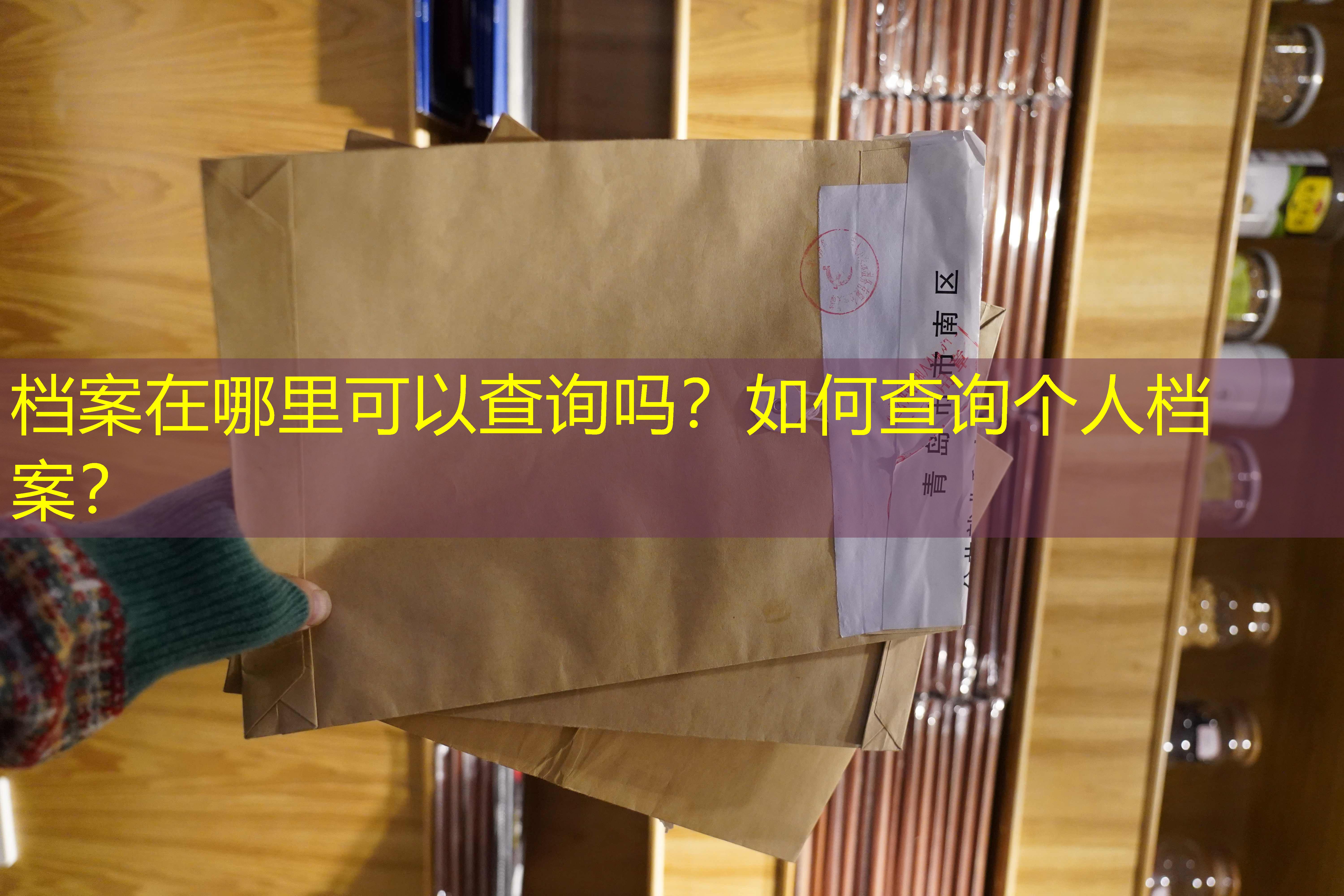 档案查询
